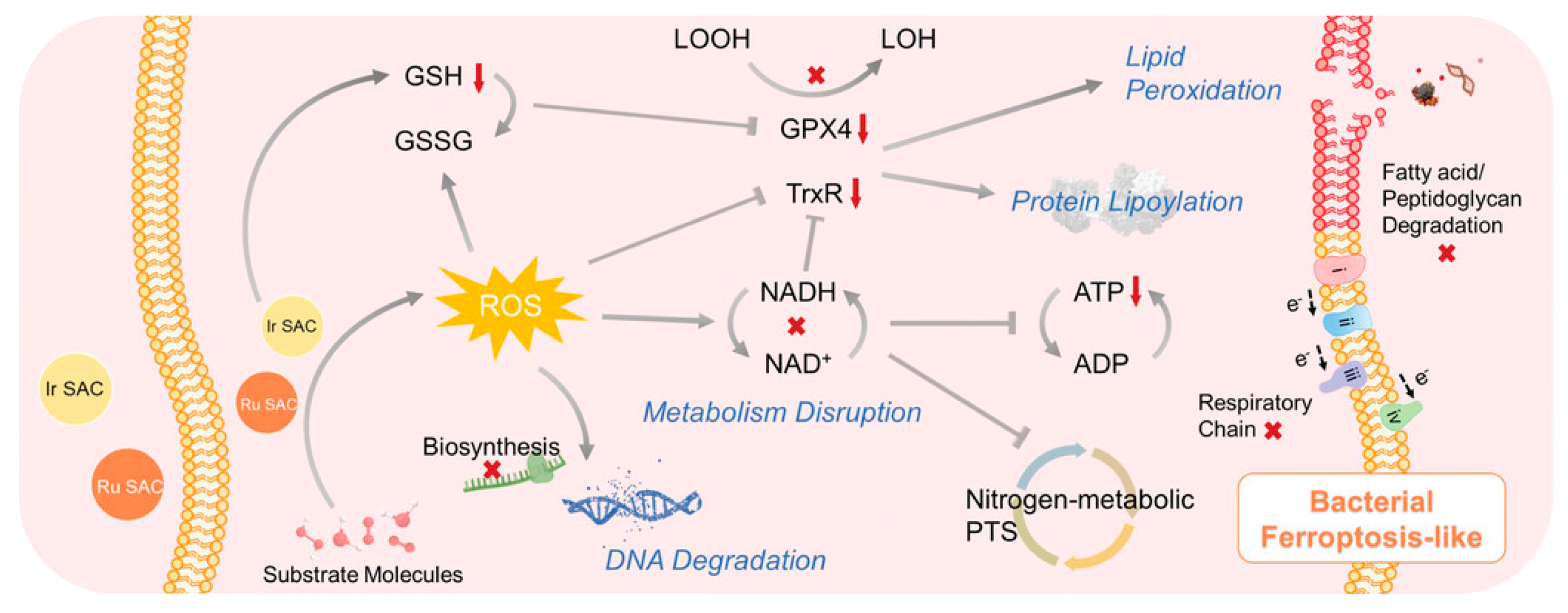 Nanomaterials 13 02760 g004