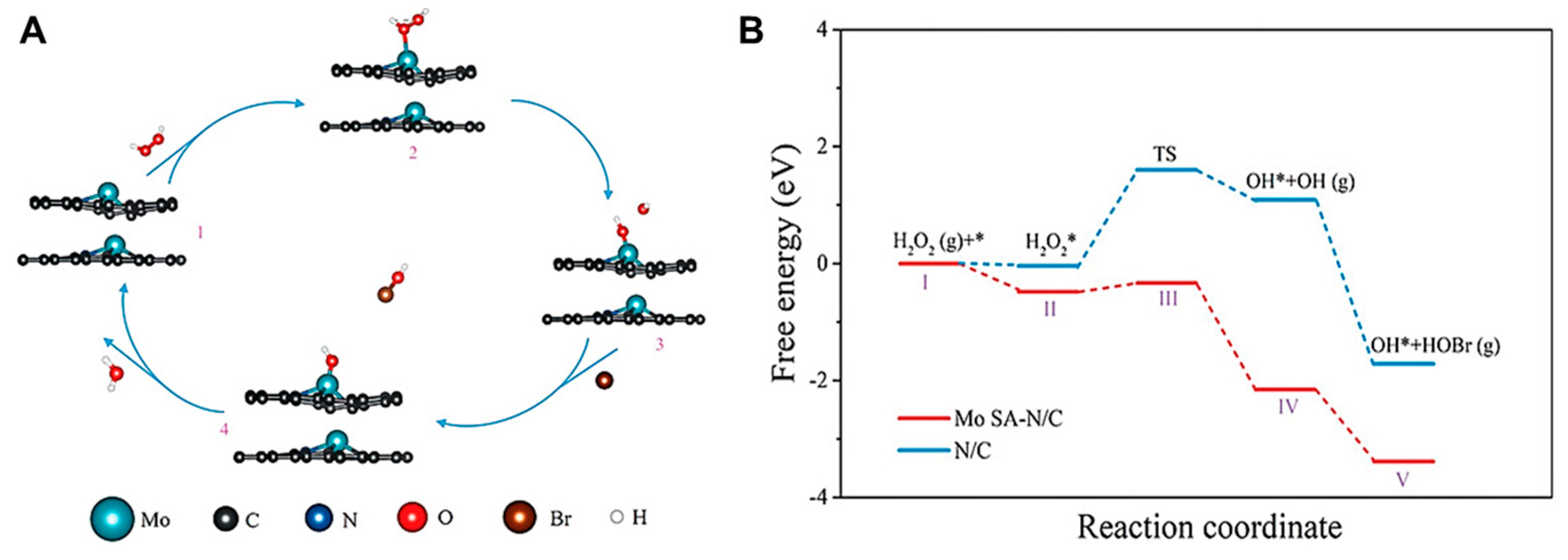 Nanomaterials 13 02760 g006