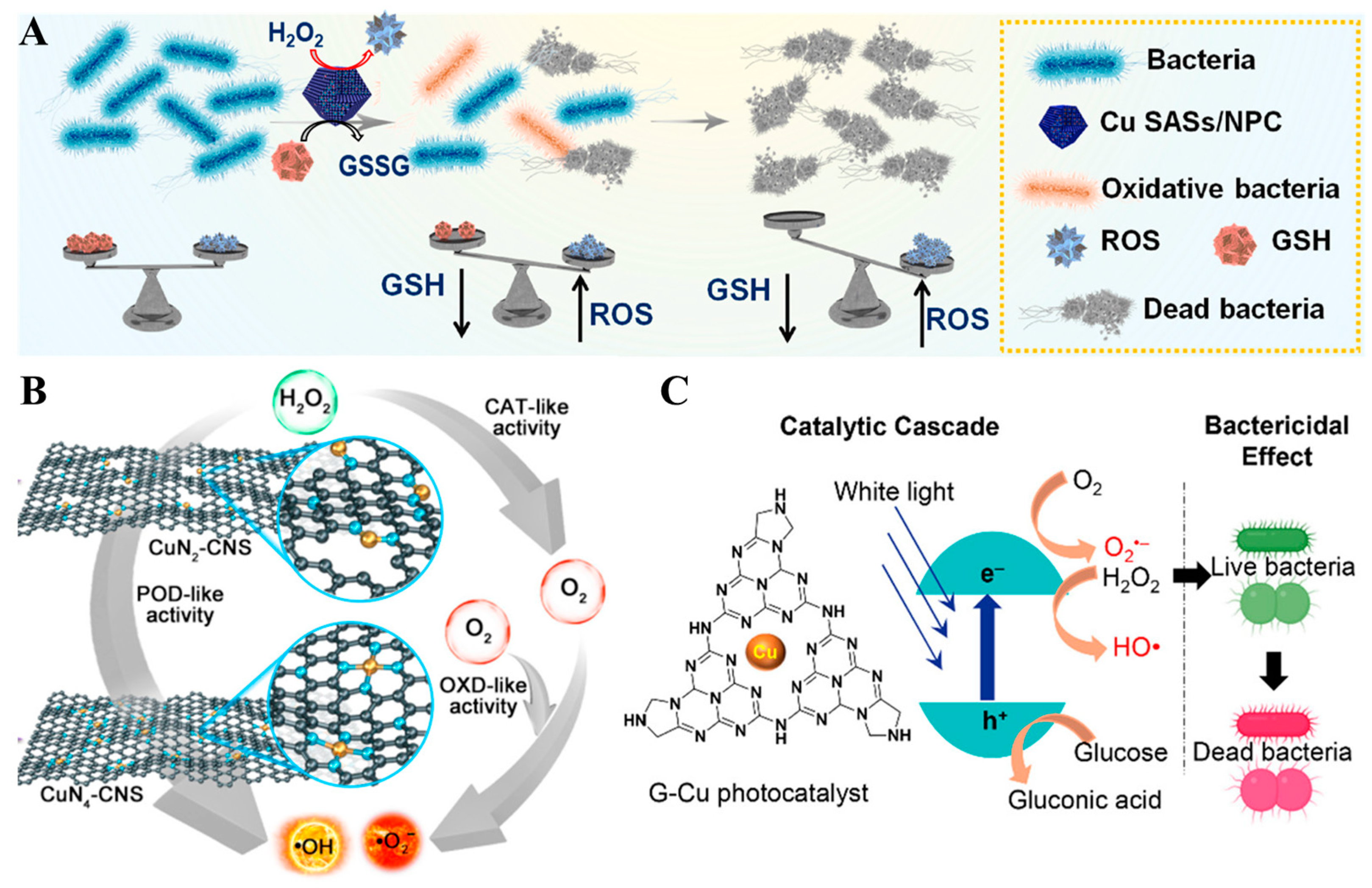 Nanomaterials 13 02760 g007