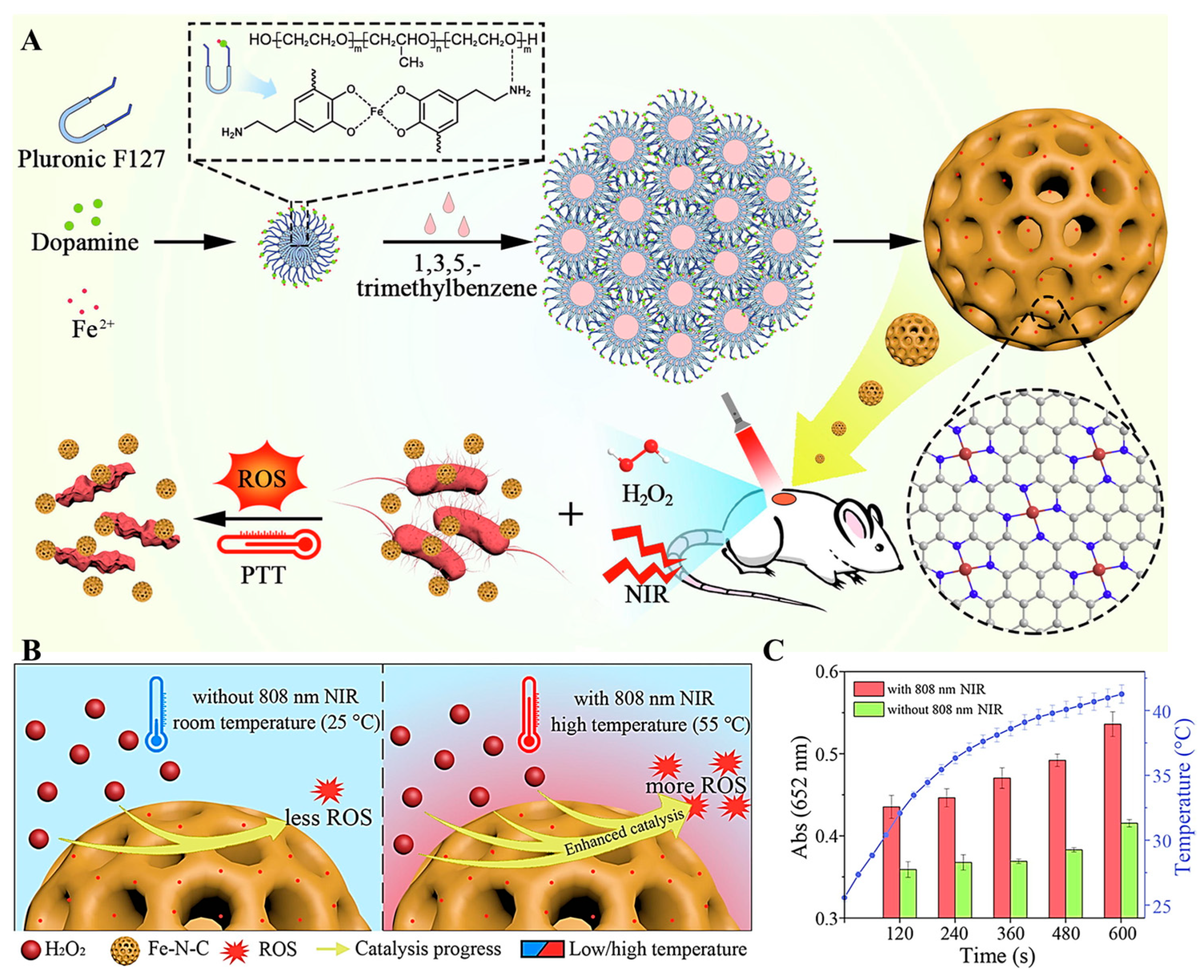 Nanomaterials 13 02760 g008