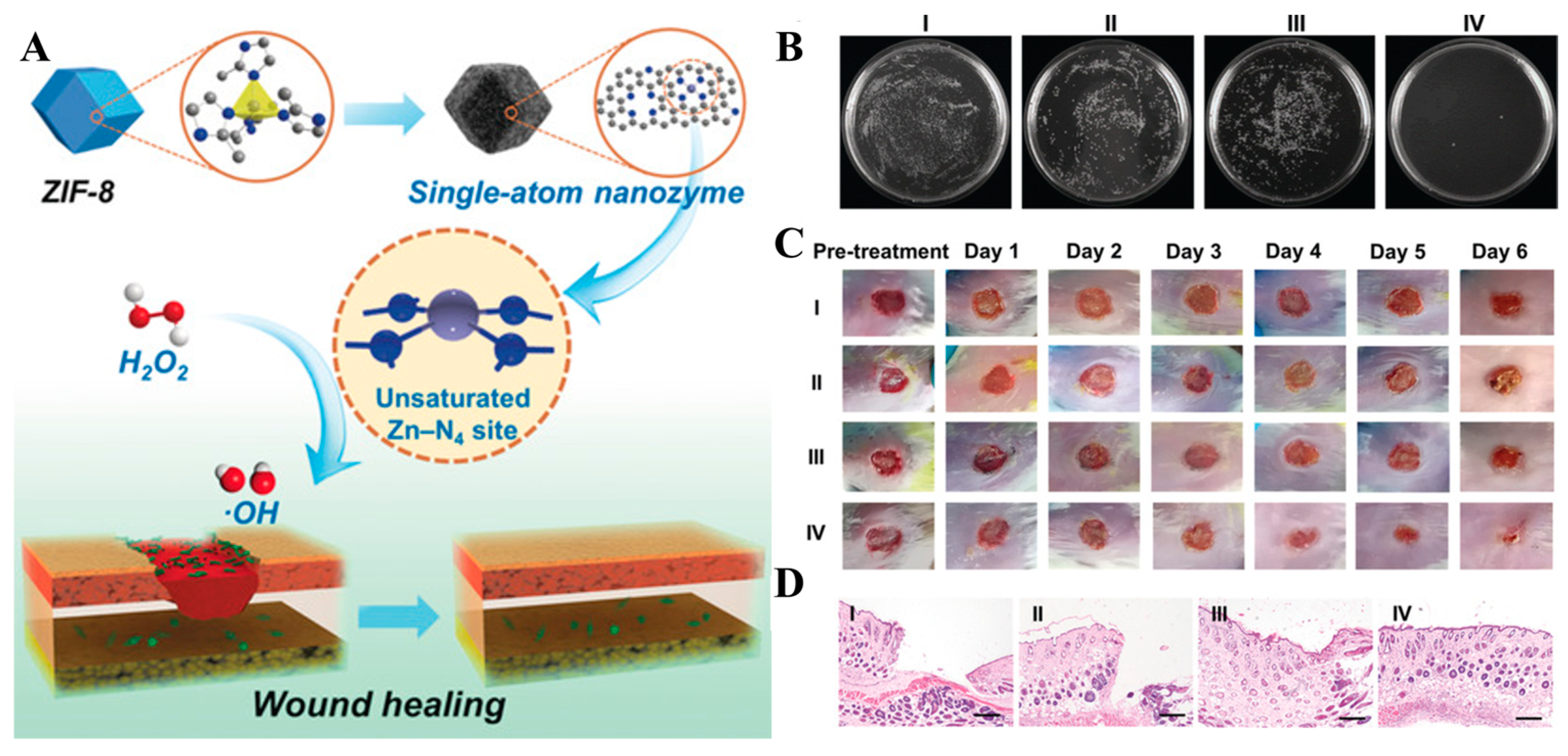 Nanomaterials 13 02760 g009