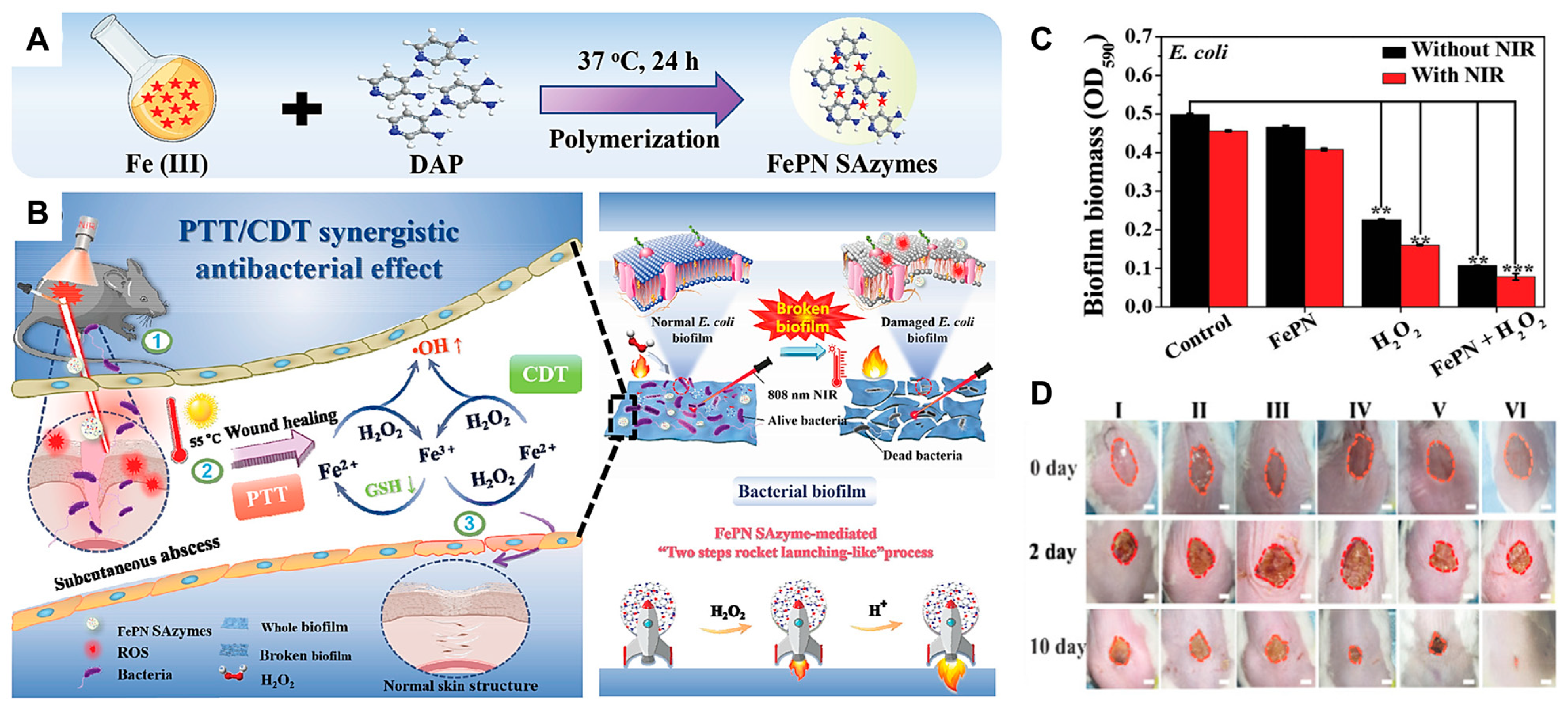 Nanomaterials 13 02760 g010