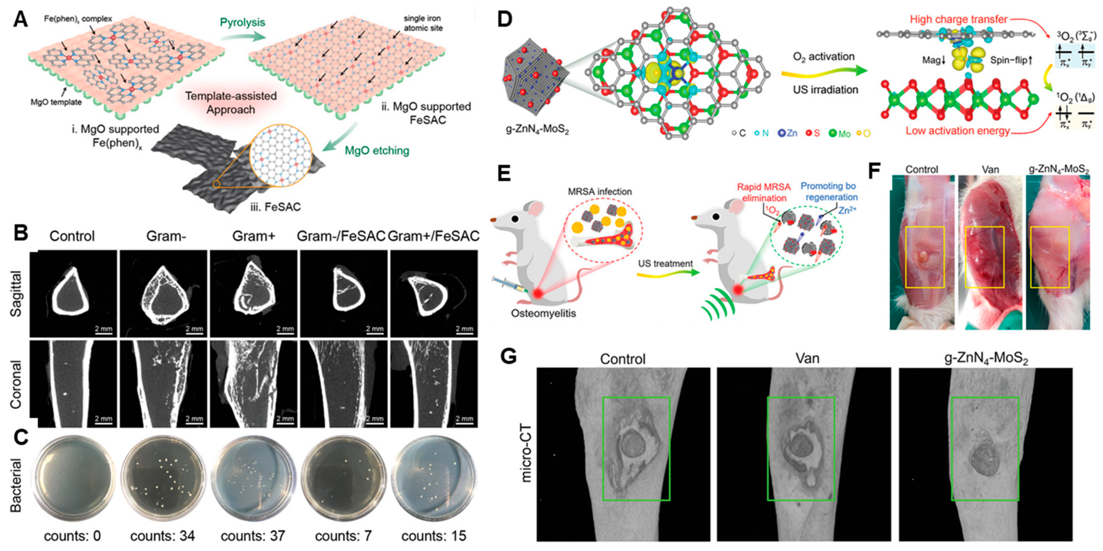 Nanomaterials 13 02760 g011