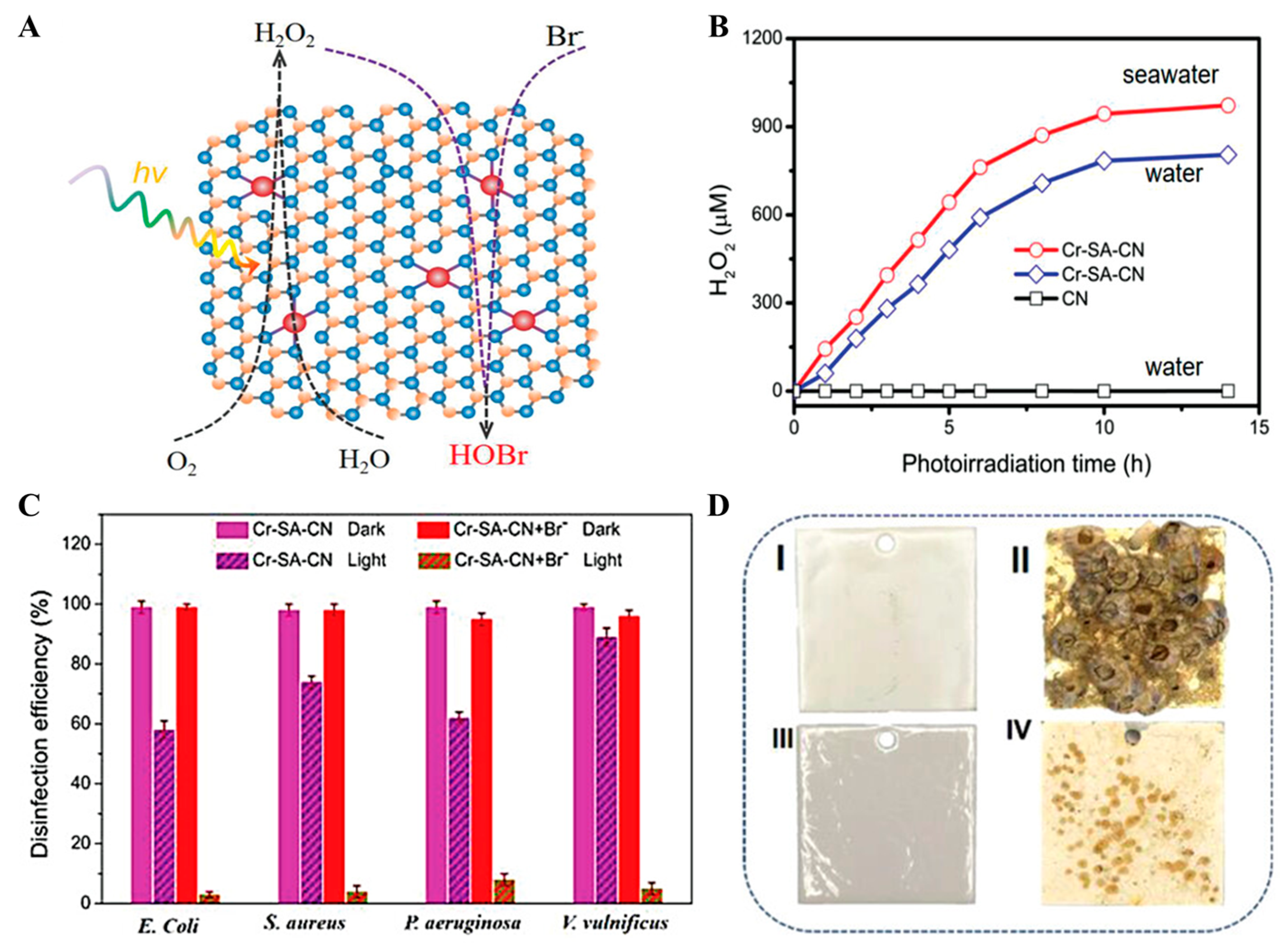 Nanomaterials 13 02760 g012