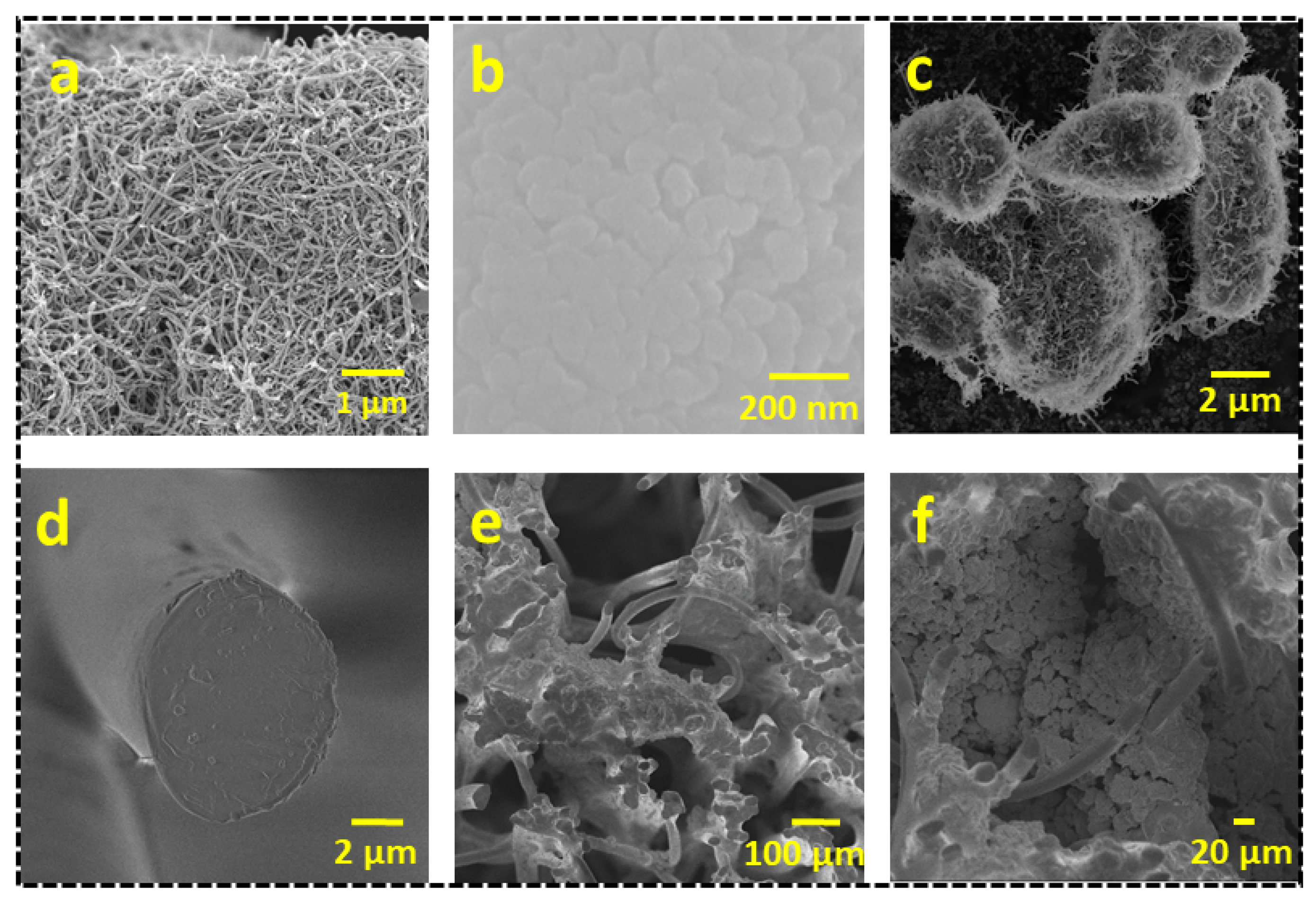 Nanomaterials 13 02764 g004
