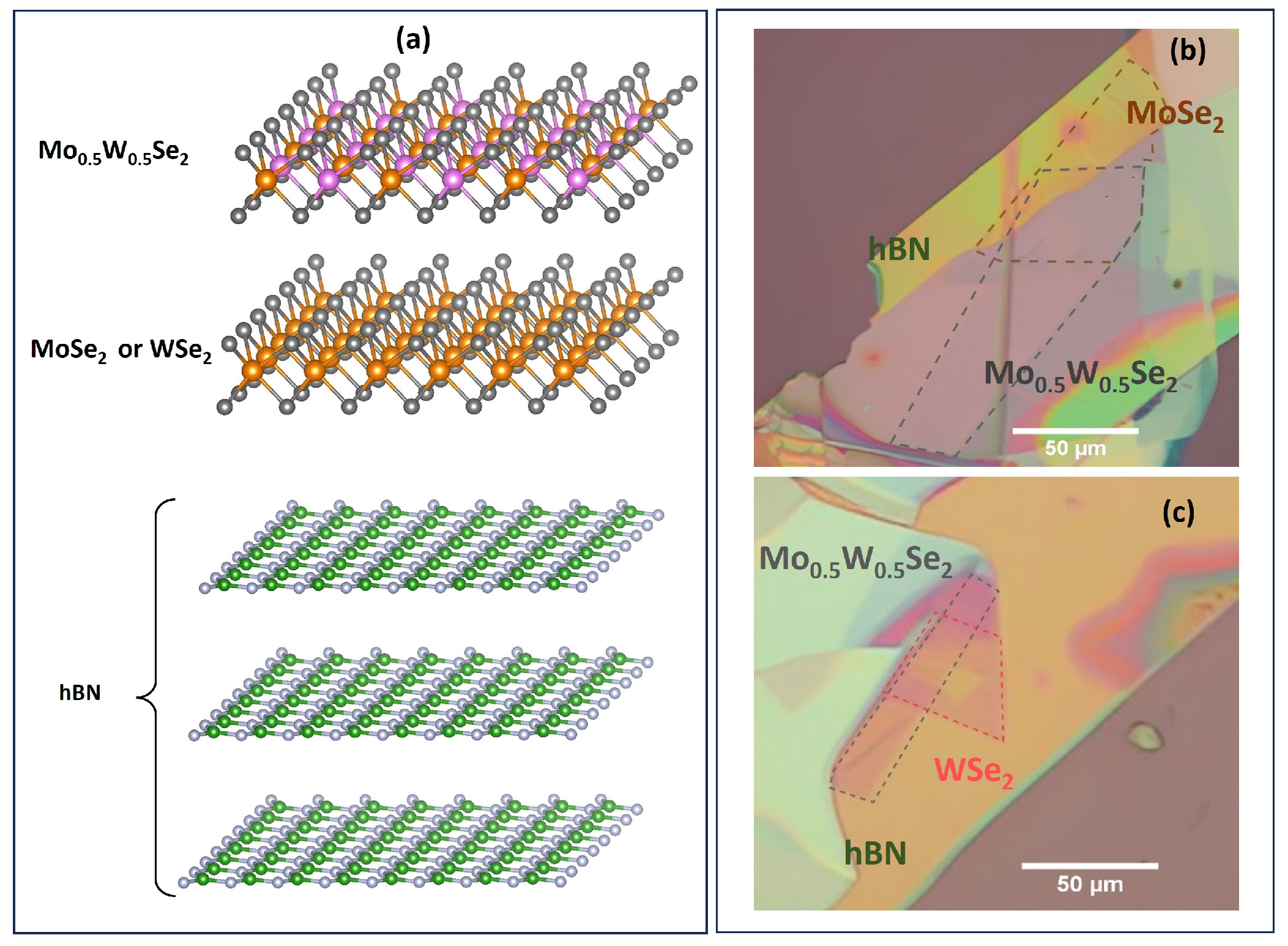 Nanomaterials 13 02769 g002