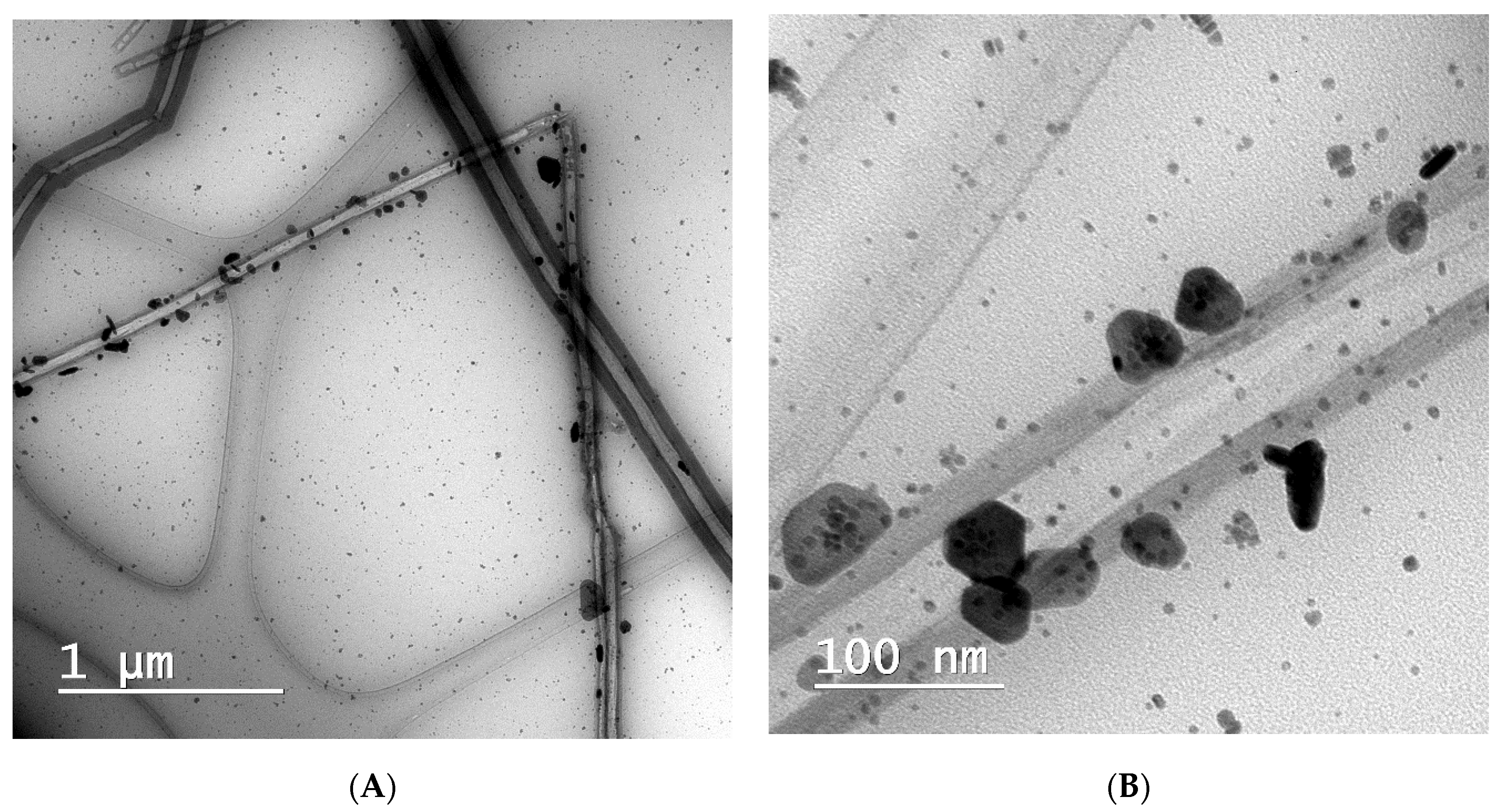 Nanomaterials 13 02775 g002