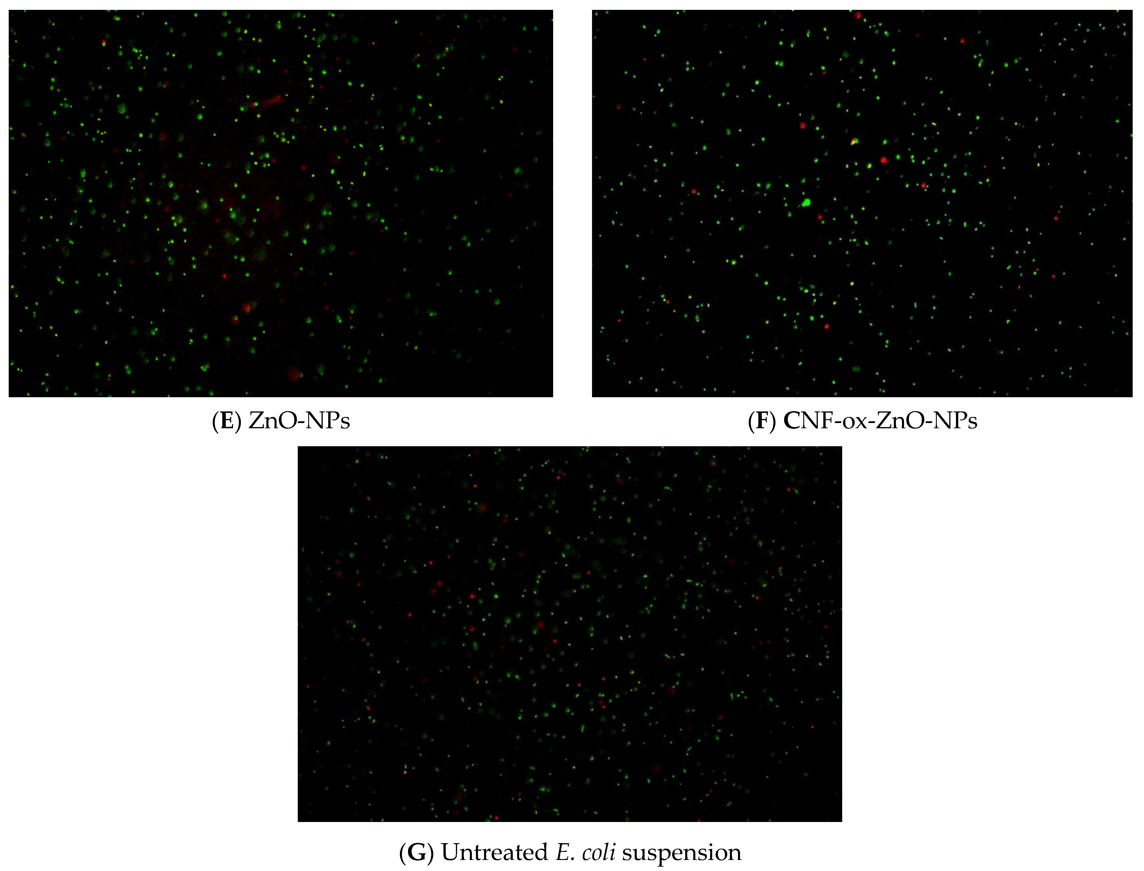 Nanomaterials 13 02775 g004b
