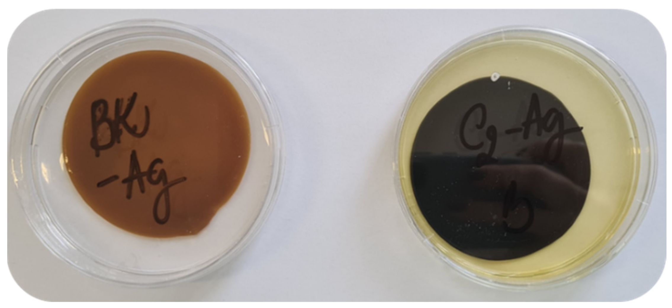 Nanomaterials 13 02775 g010