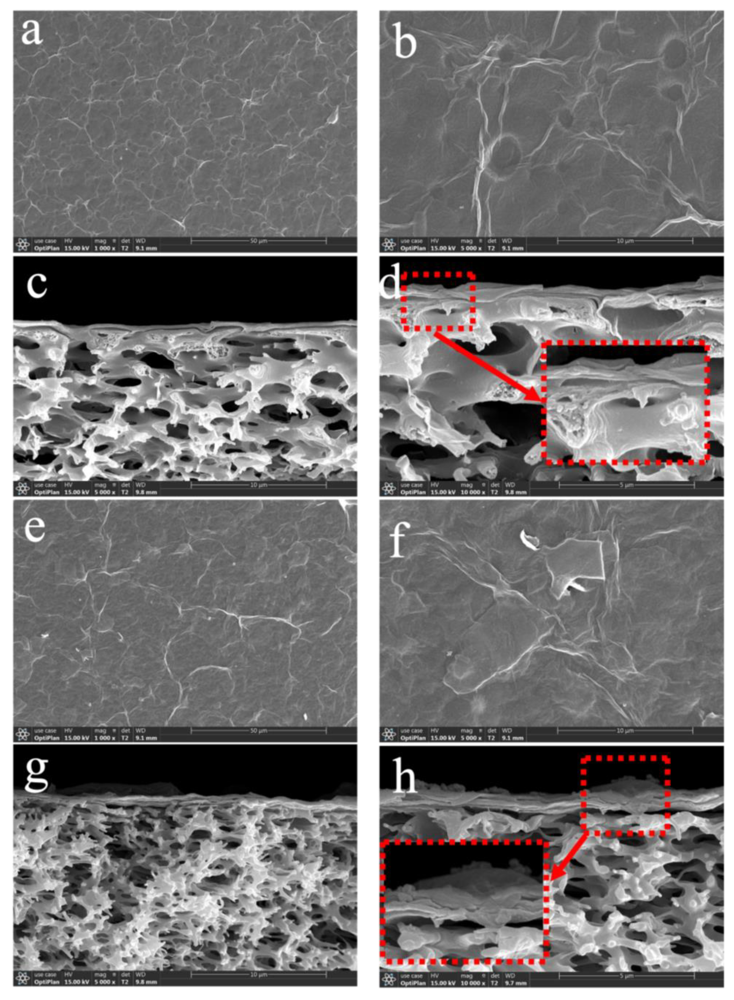 Nanomaterials 13 02777 g003