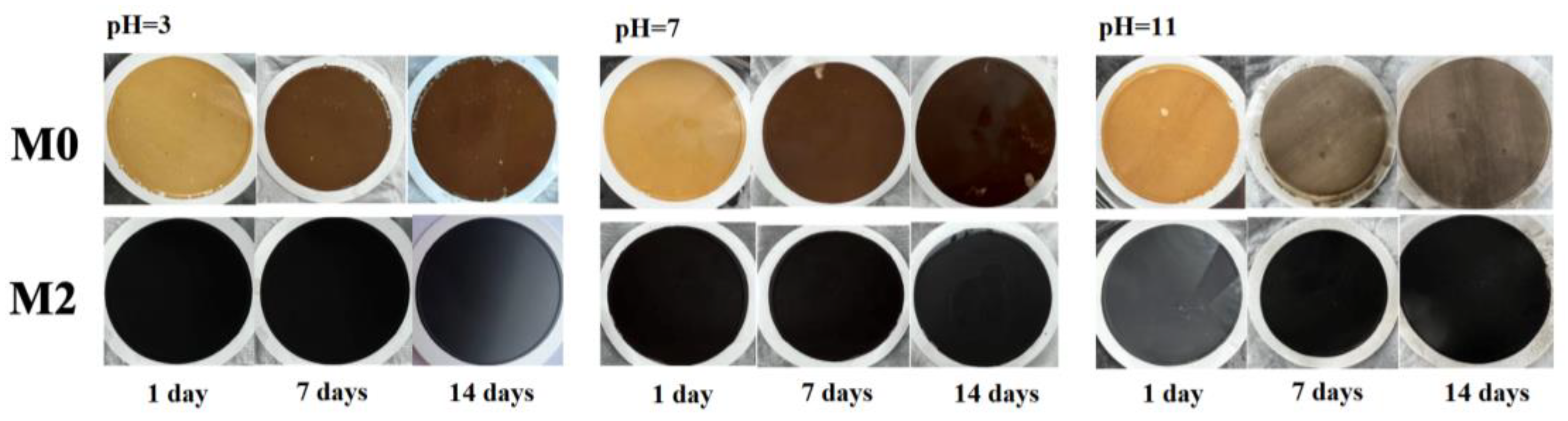 Nanomaterials 13 02777 g008