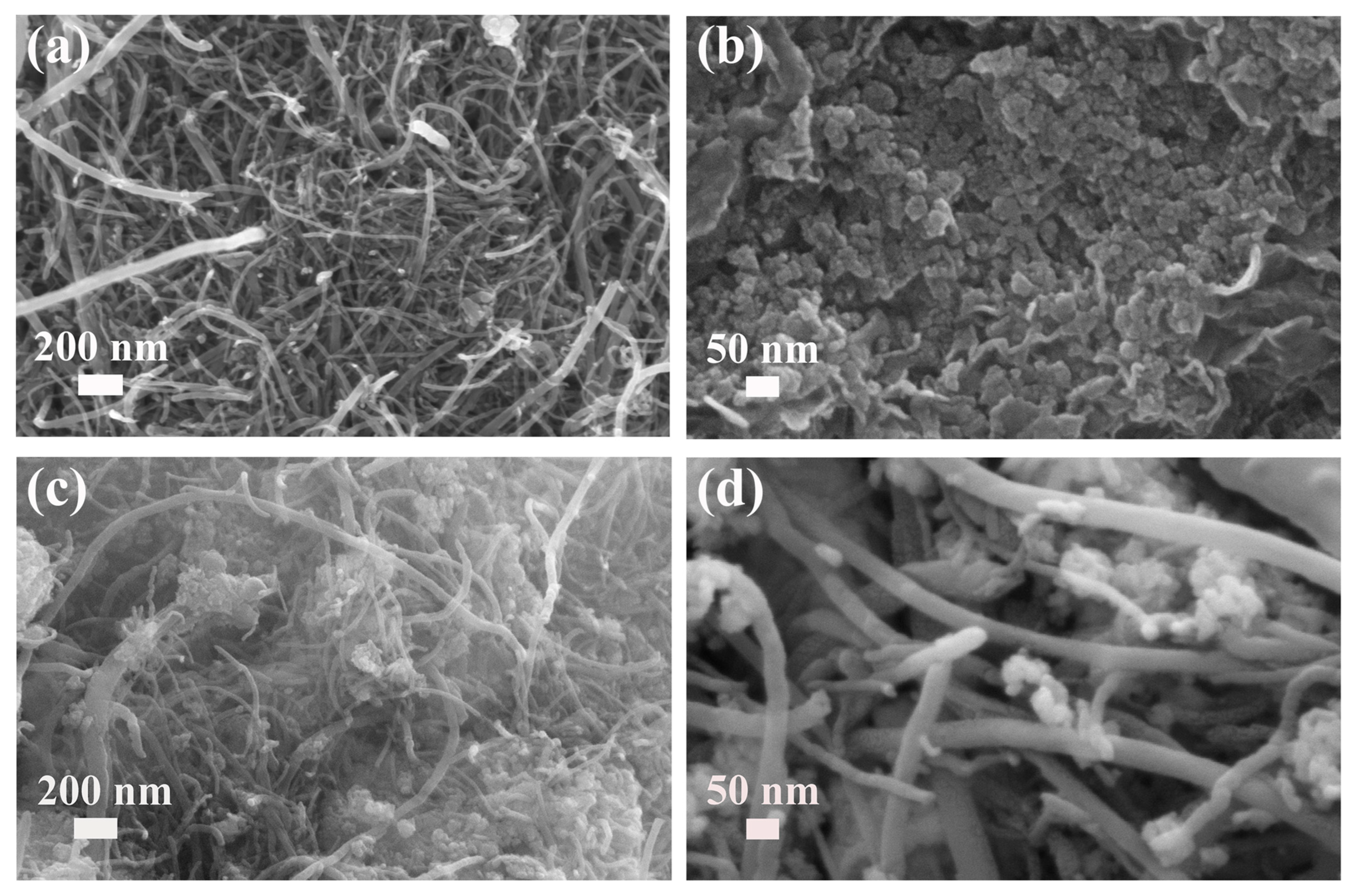 Nanomaterials 13 02779 g003