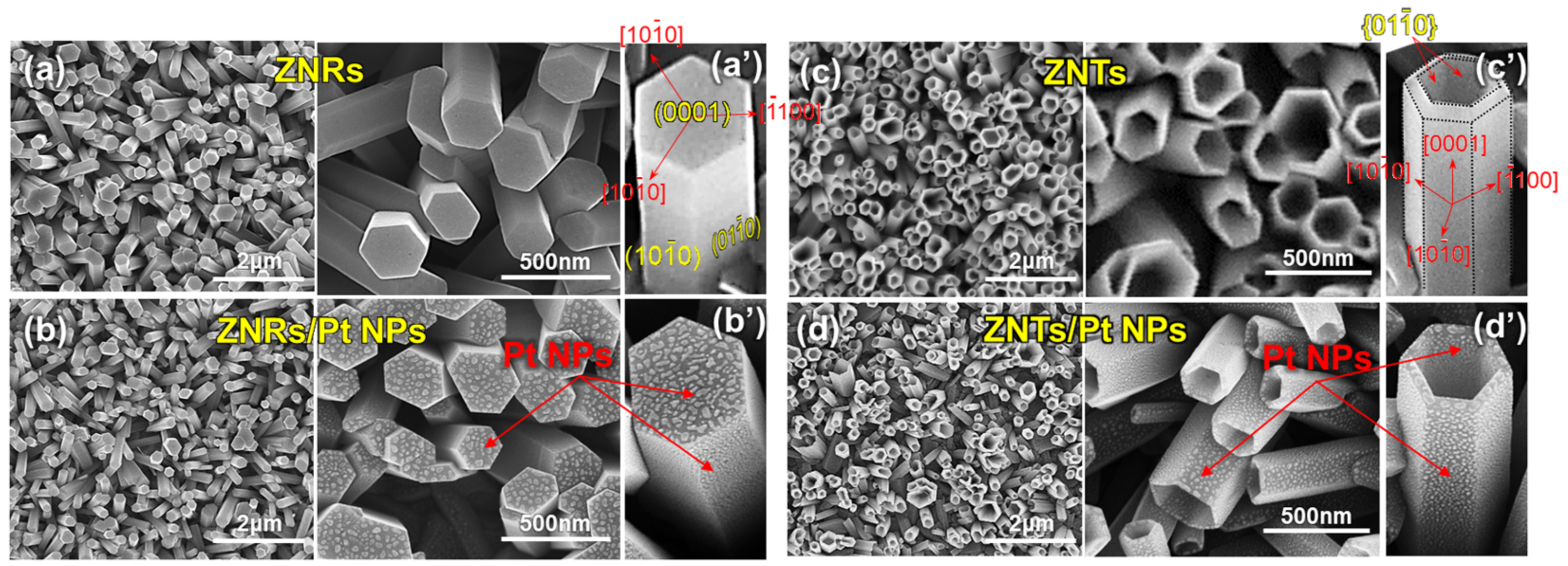 Nanomaterials 13 02780 g002