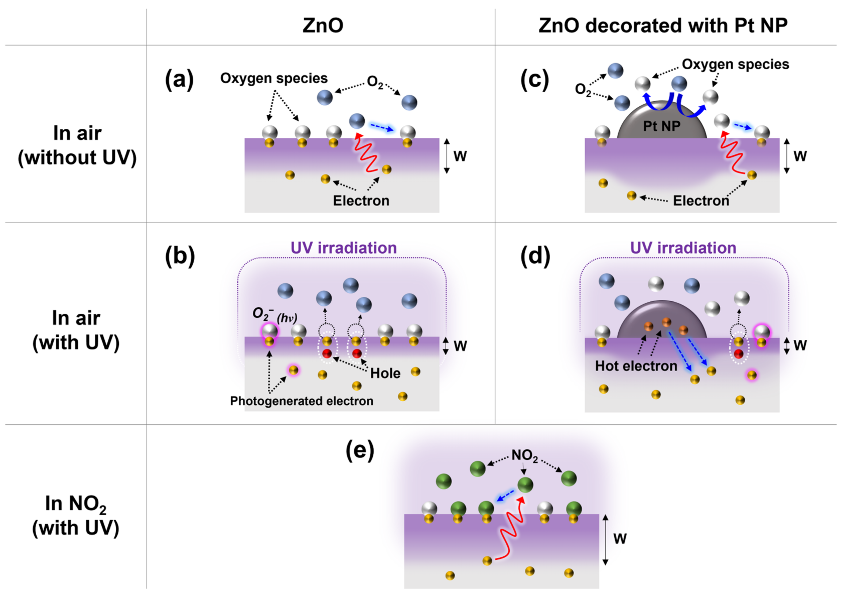 Nanomaterials 13 02780 g006