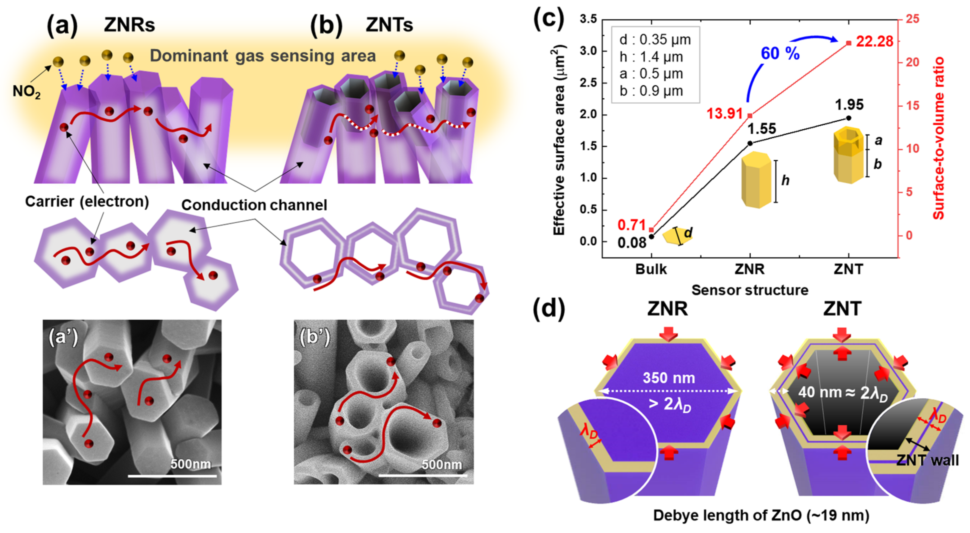 Nanomaterials 13 02780 g007