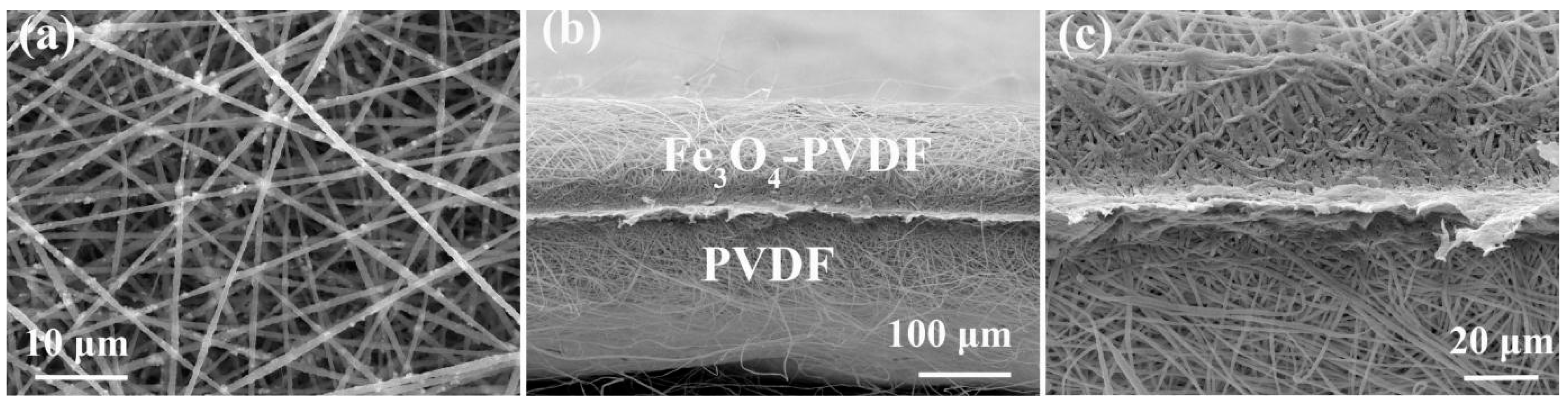 Nanomaterials 13 02782 g001