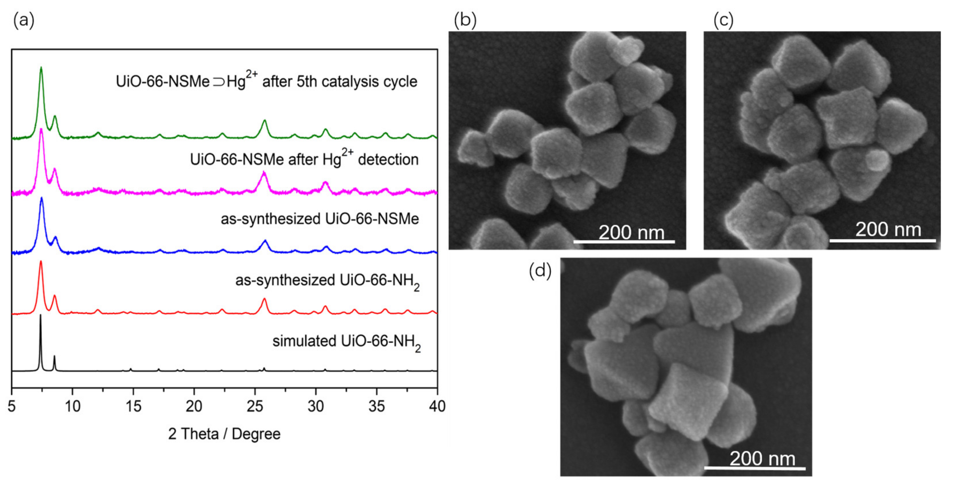 Nanomaterials 13 02784 g001