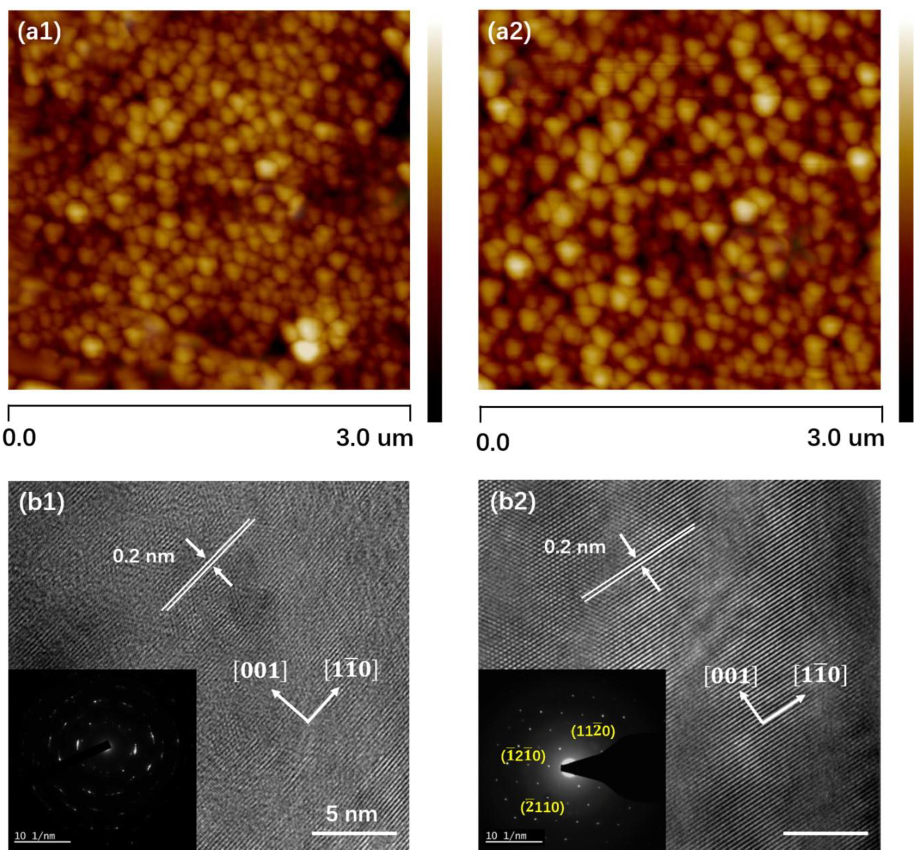 Nanomaterials 13 02785 g004