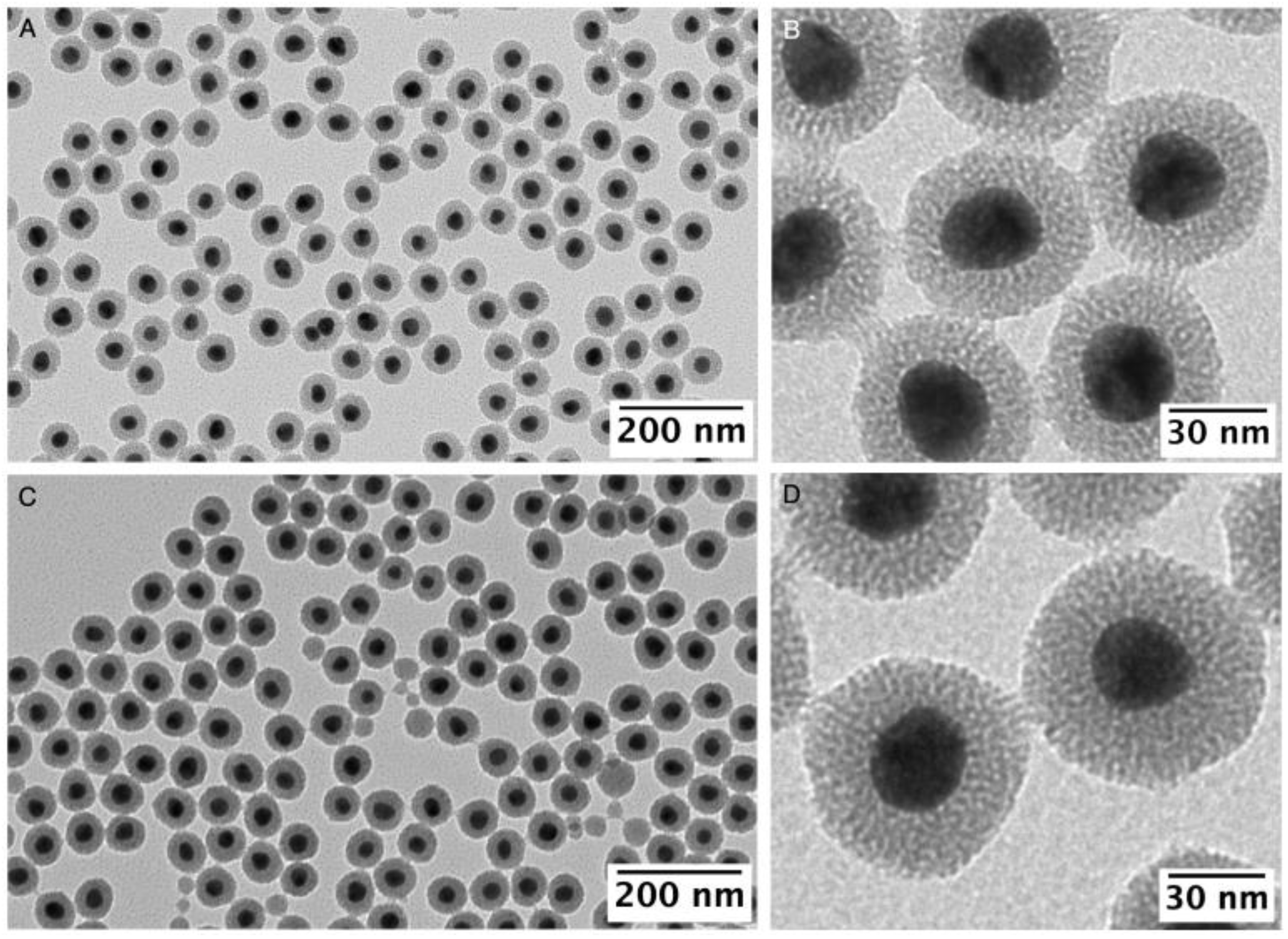Nanomaterials 13 02788 g003