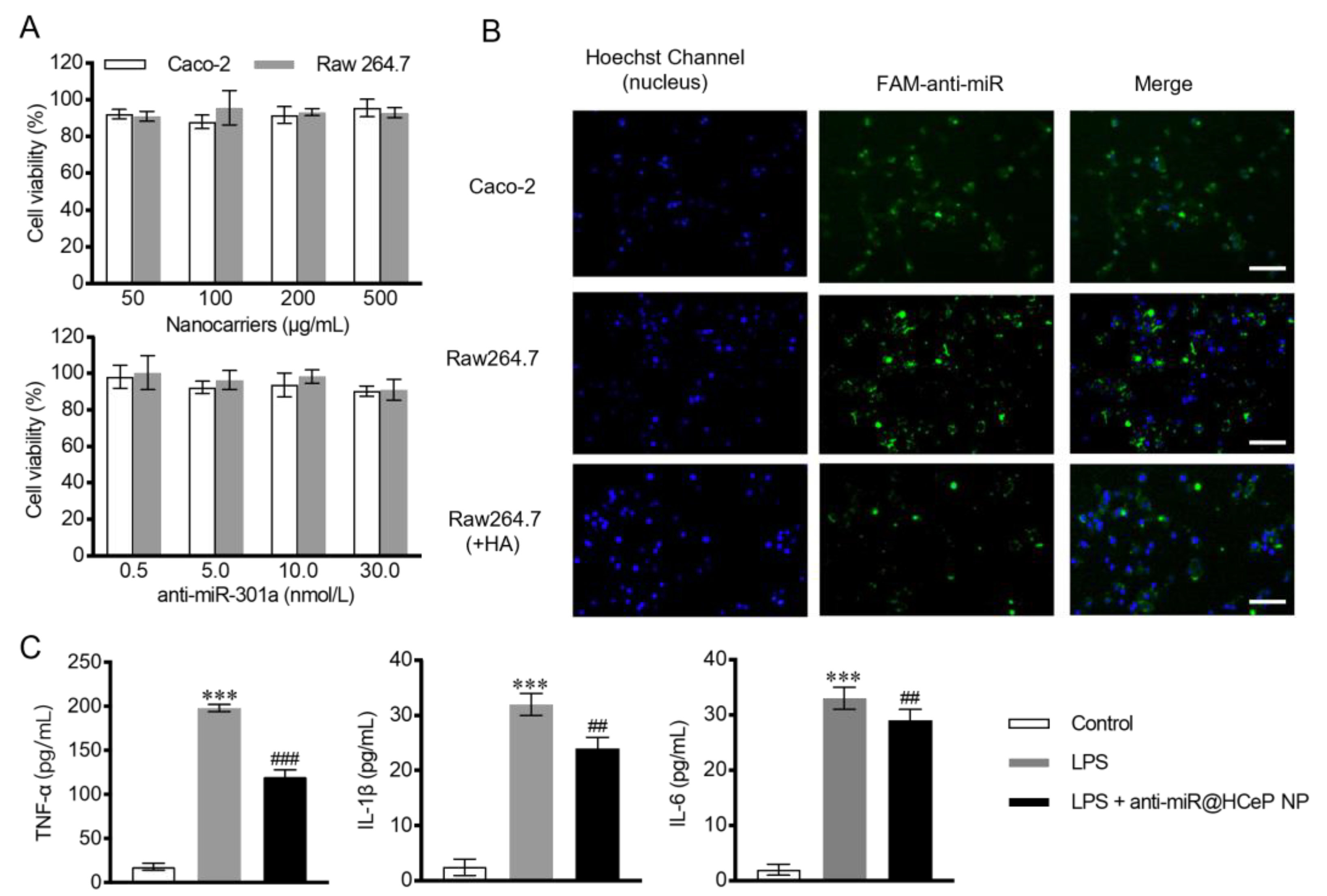 Nanomaterials 13 02797 g002