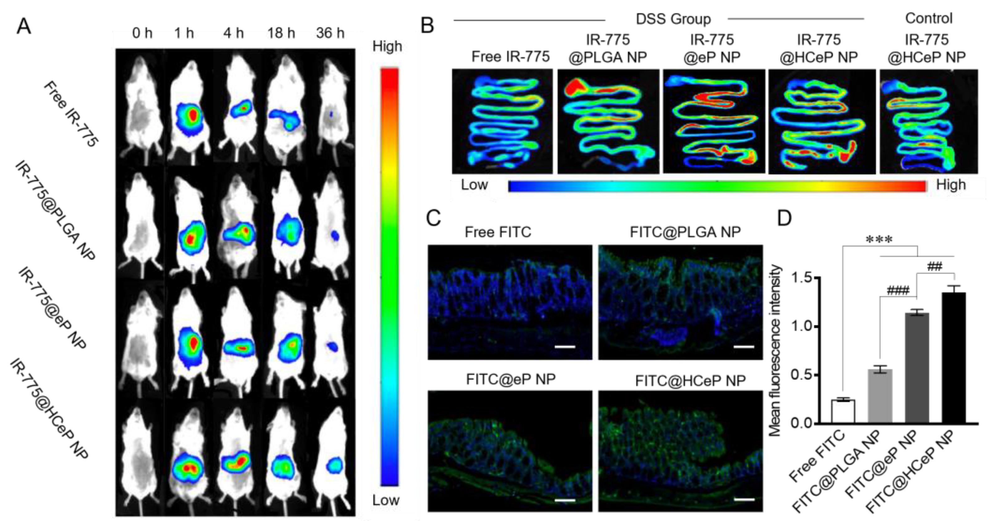 Nanomaterials 13 02797 g003
