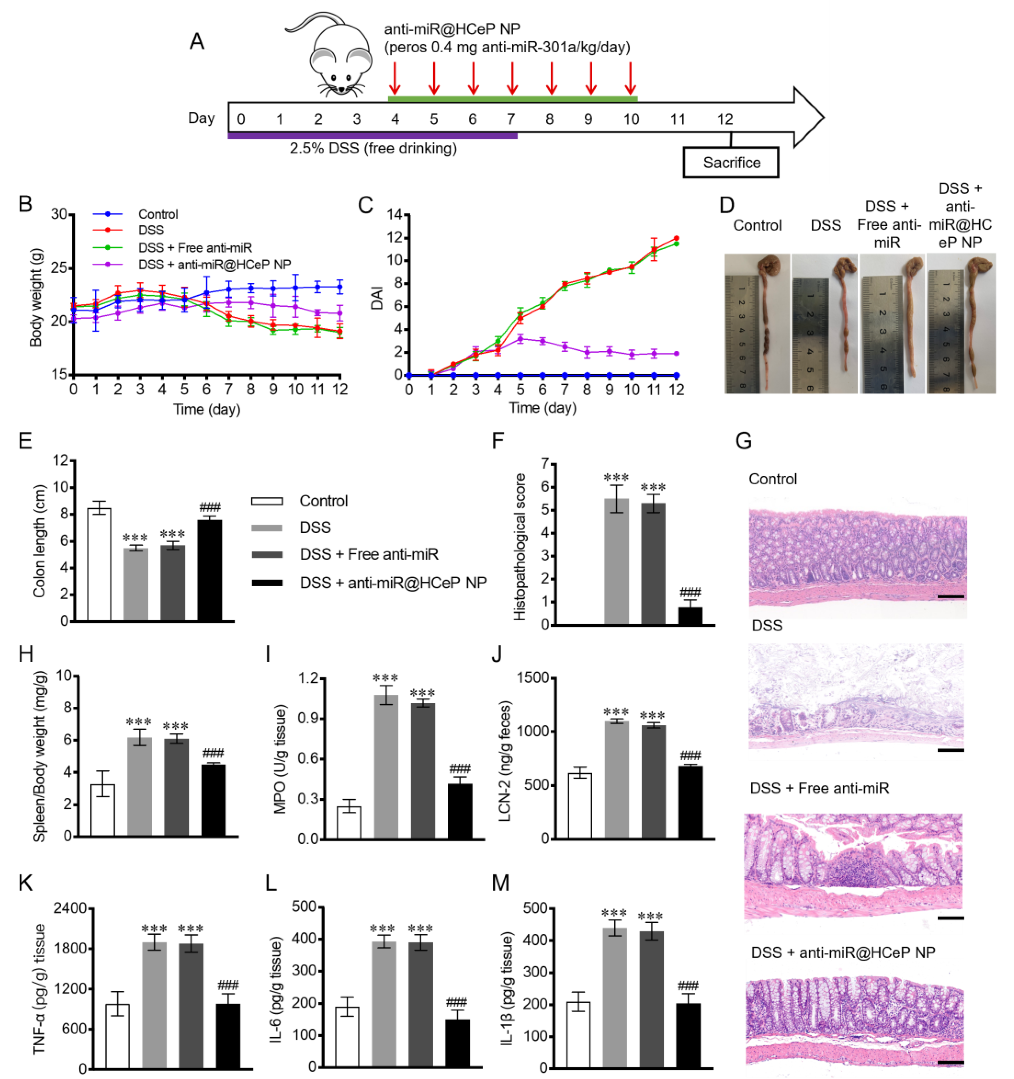 Nanomaterials 13 02797 g004