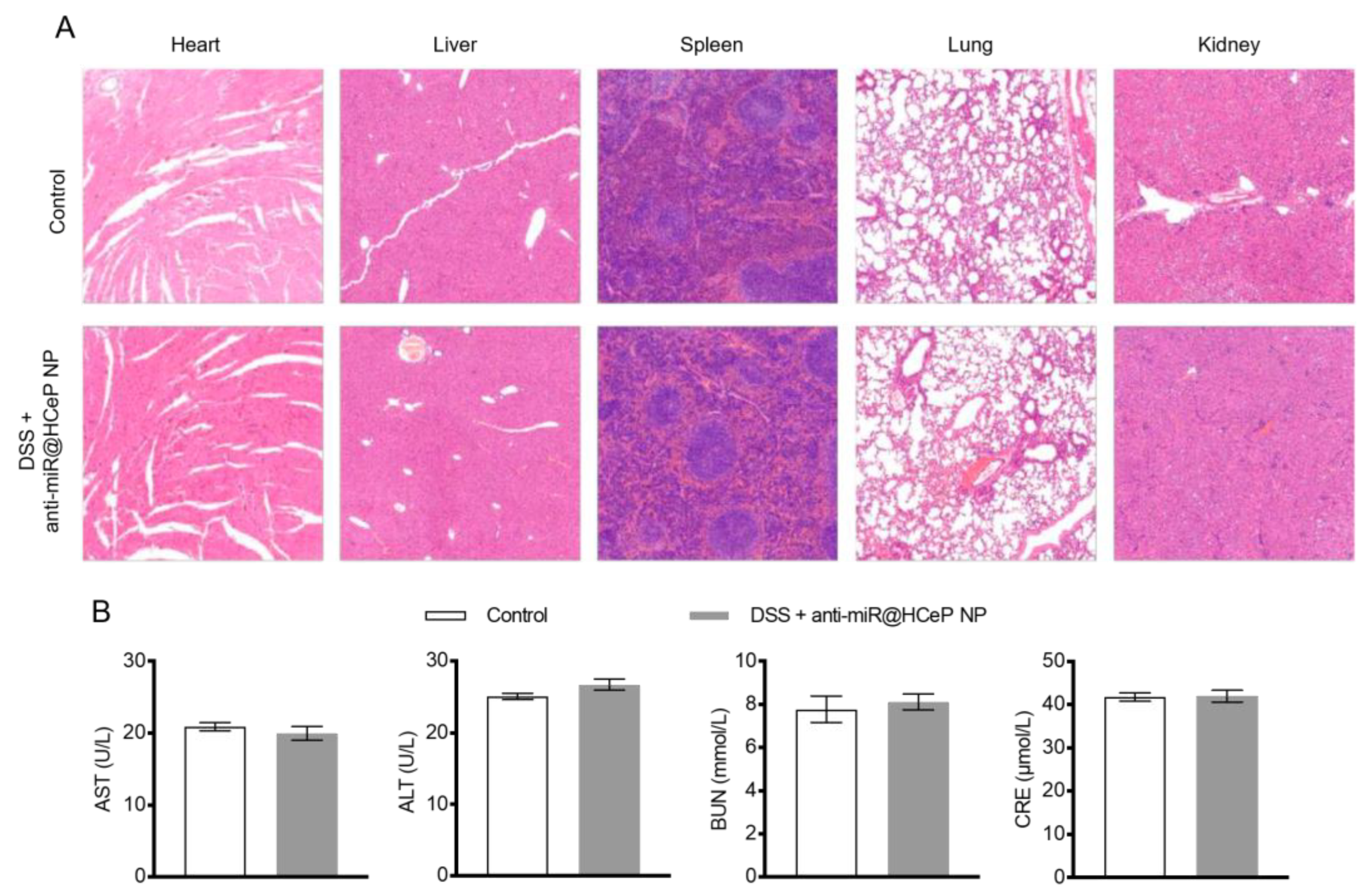 Nanomaterials 13 02797 g005