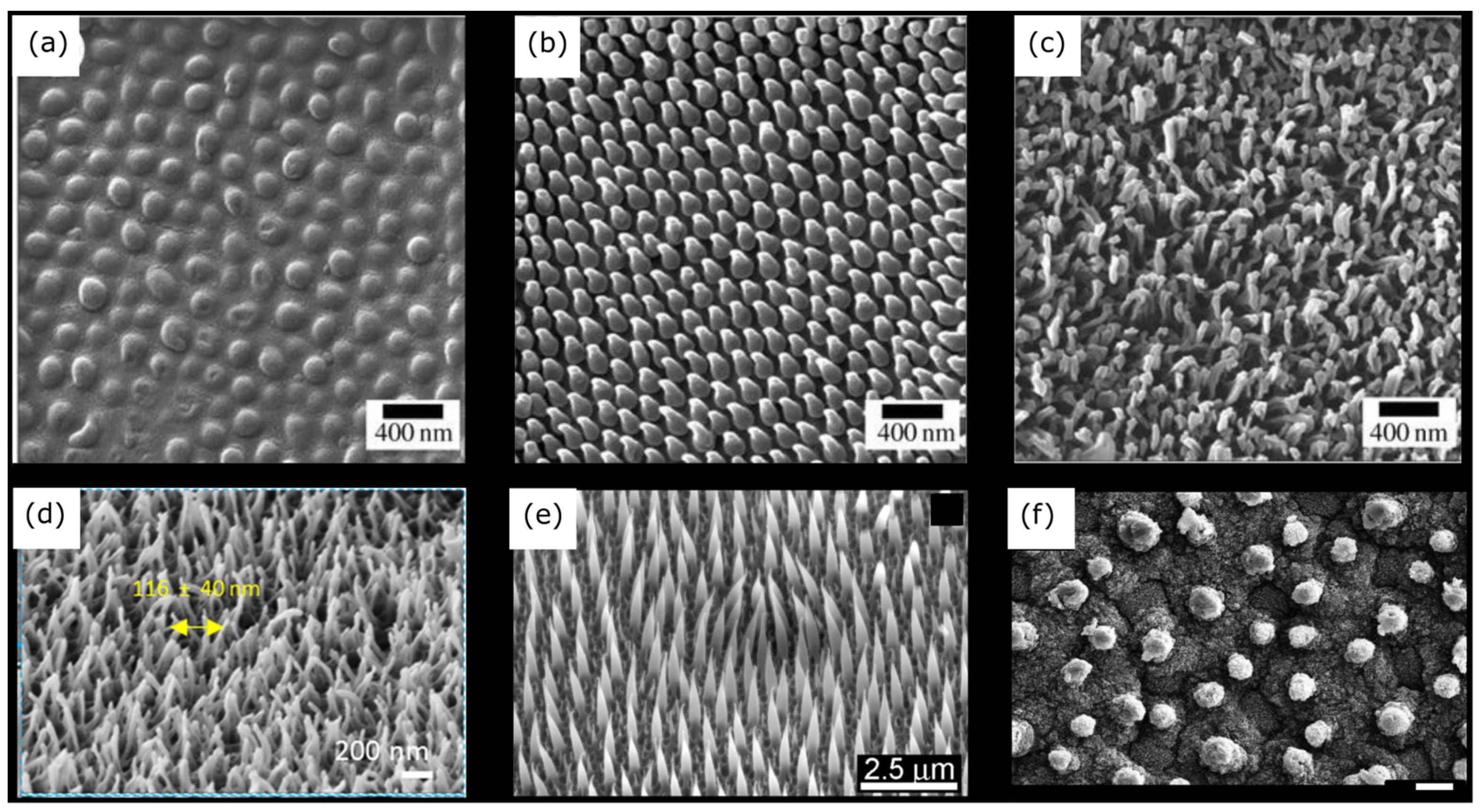 Nanomaterials 13 02799 g003