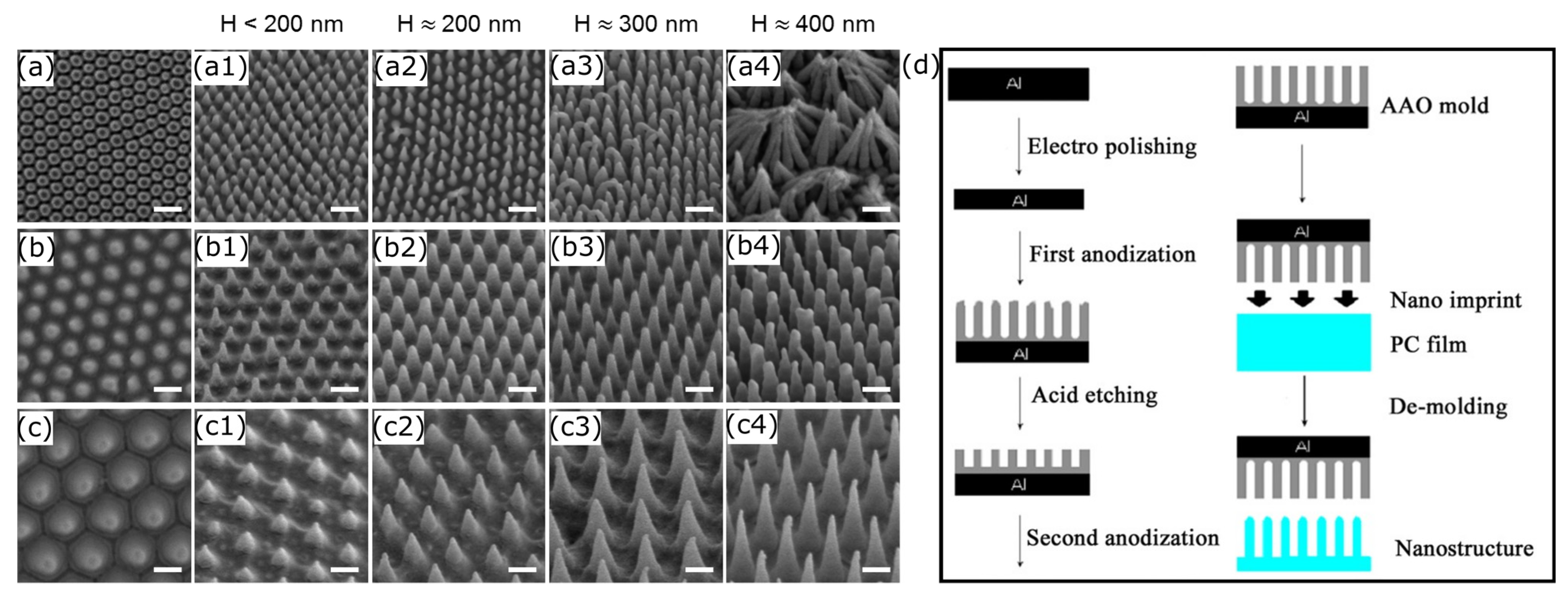 Nanomaterials 13 02799 g009