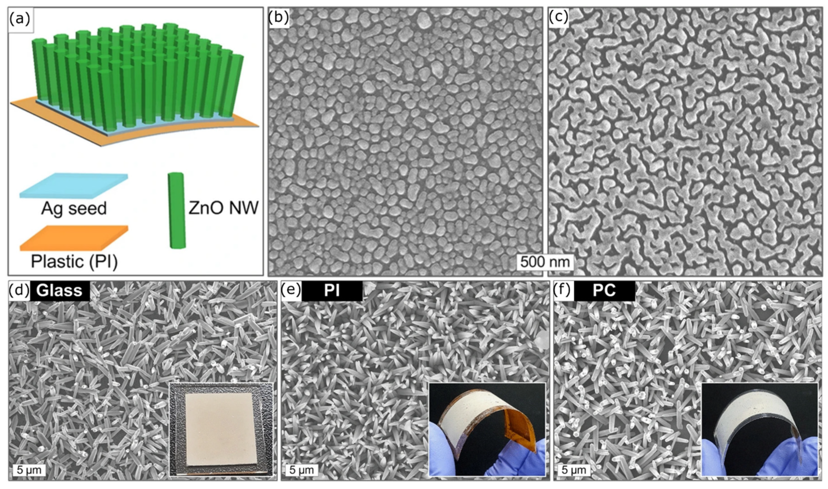 Nanomaterials 13 02799 g010