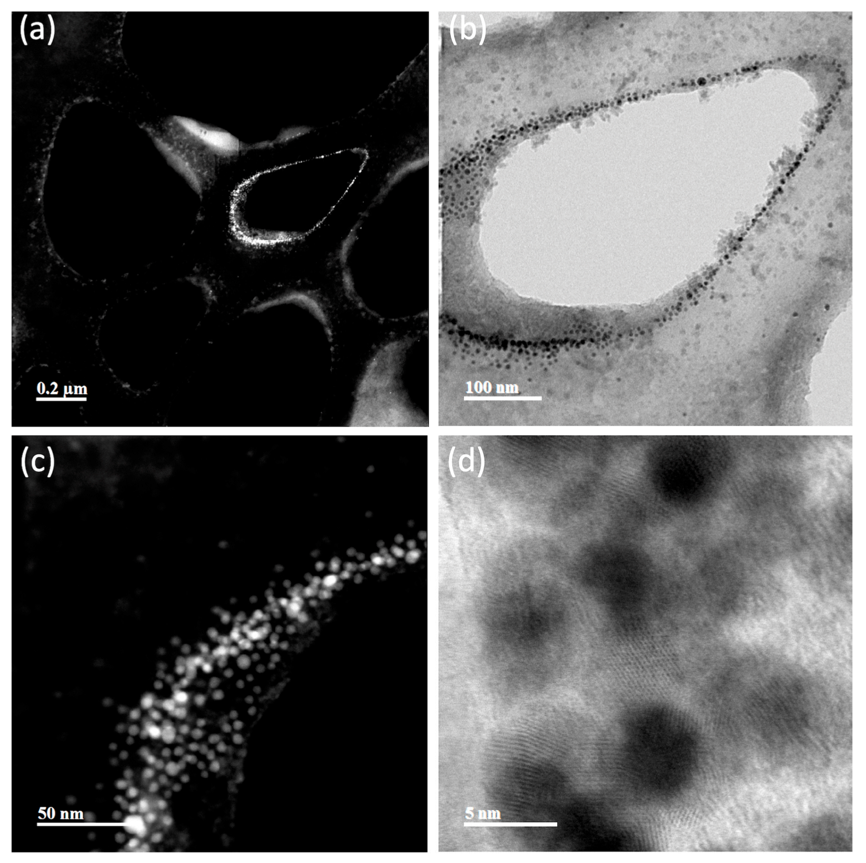 Nanomaterials 13 02802 g005