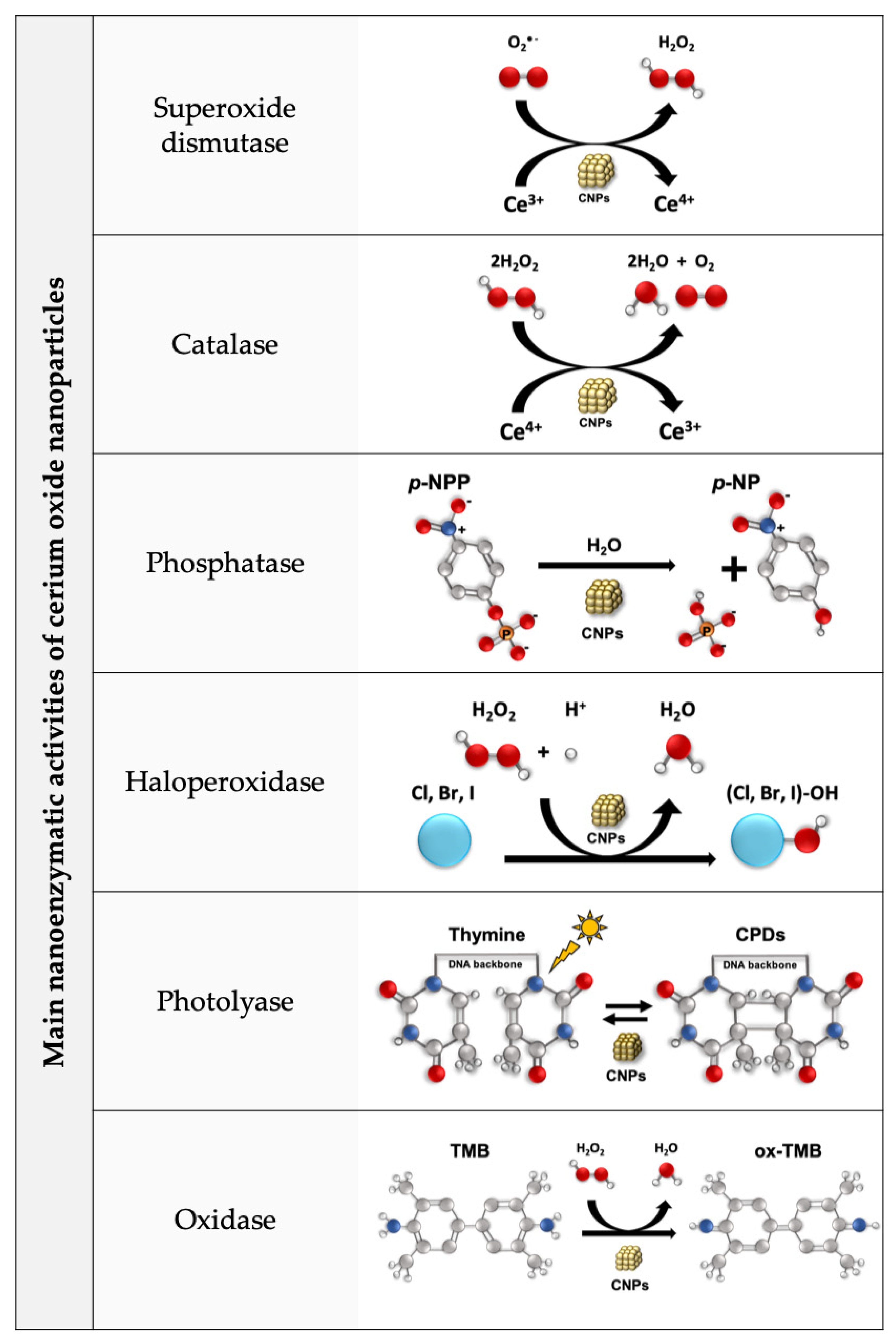 Nanomaterials 13 02803 g001 Nanomaterials 13 02803 g001