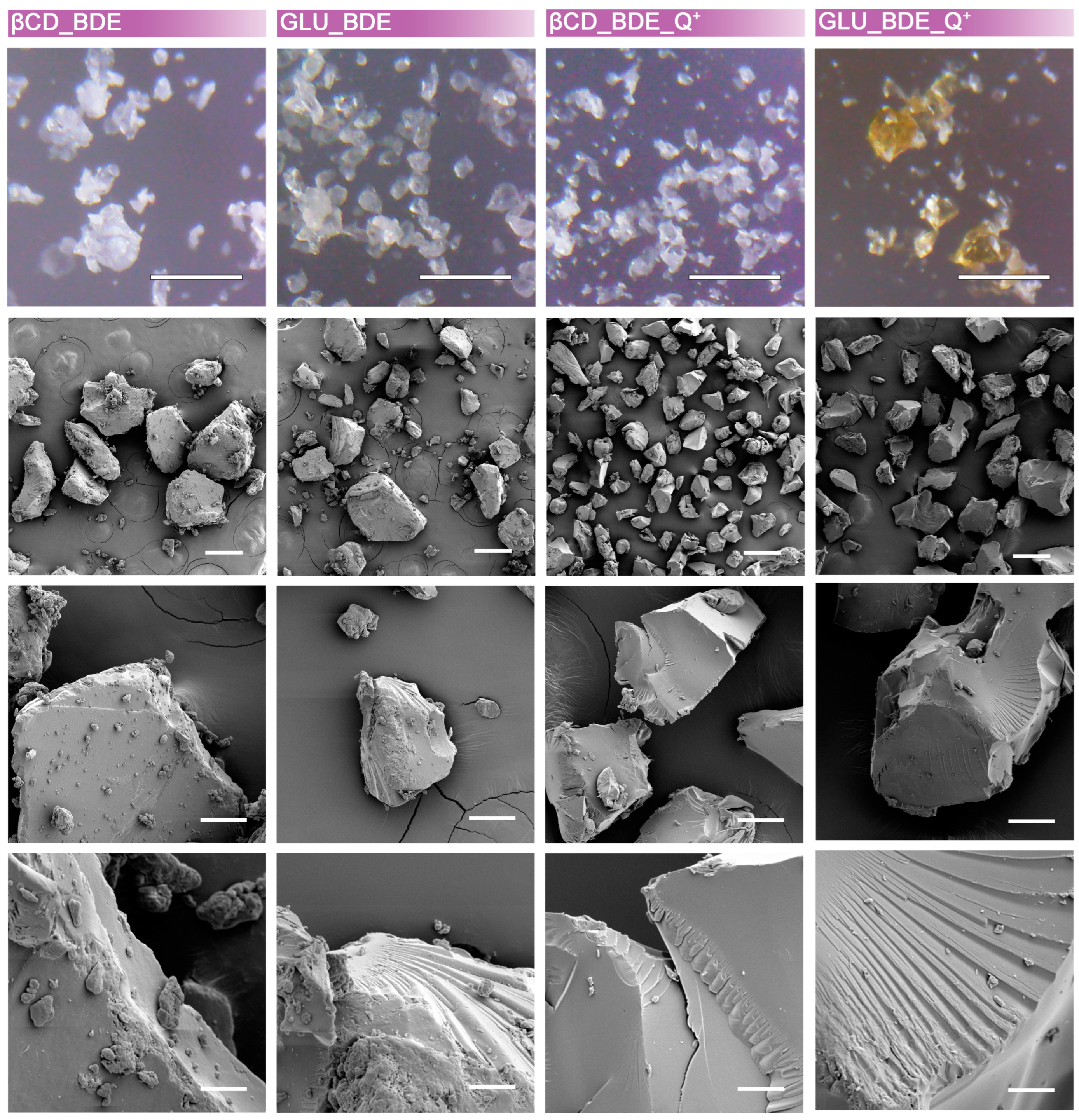 Nanomaterials 13 02805 g002