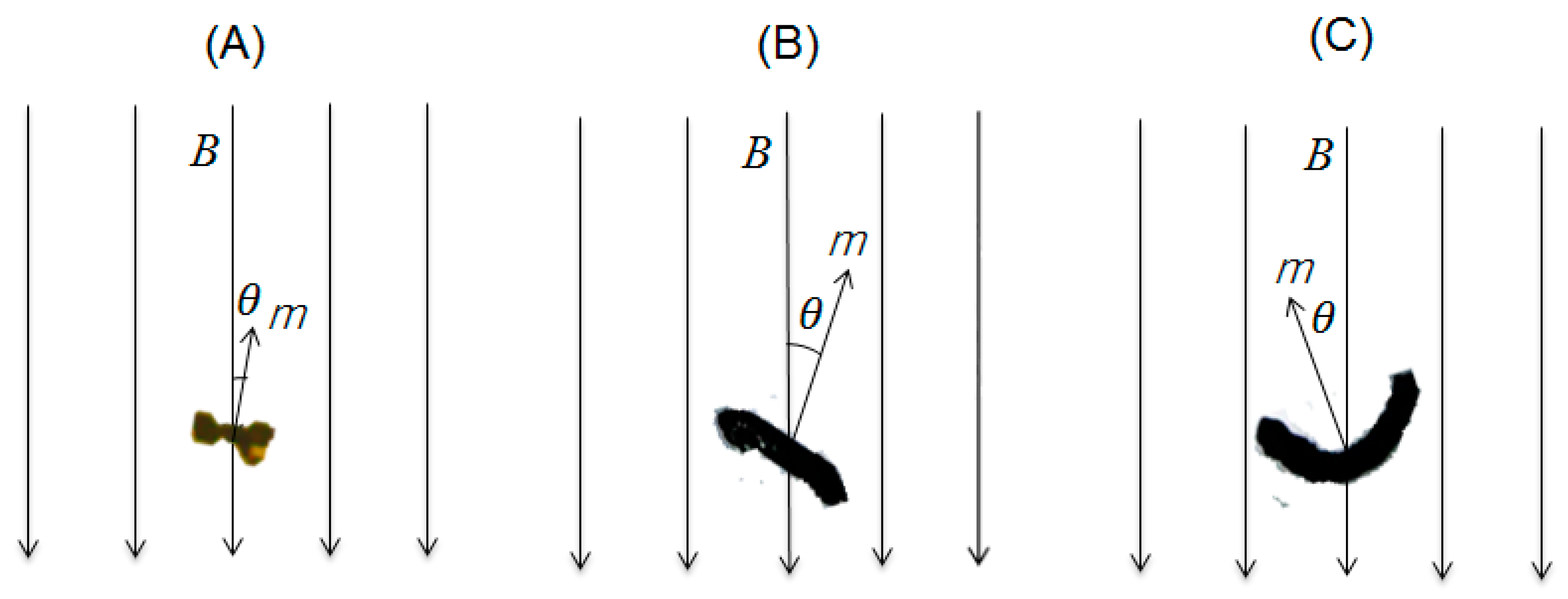 Nanomaterials 13 02806 g007