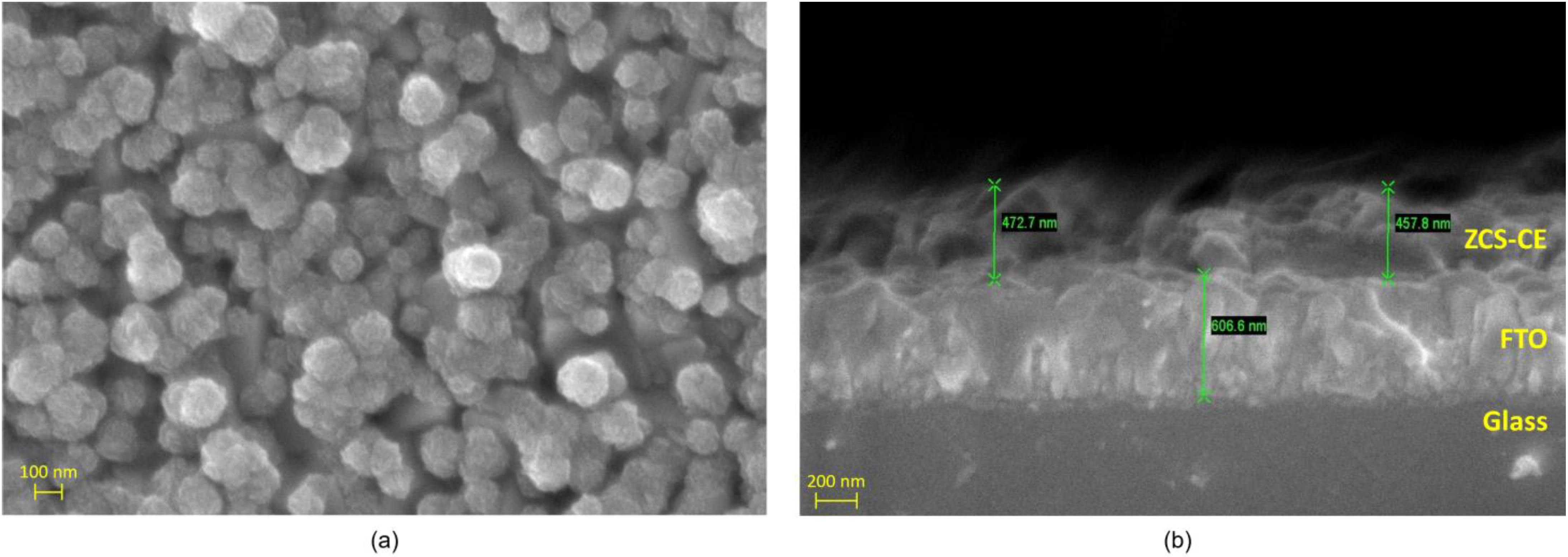 Nanomaterials 13 02812 g003