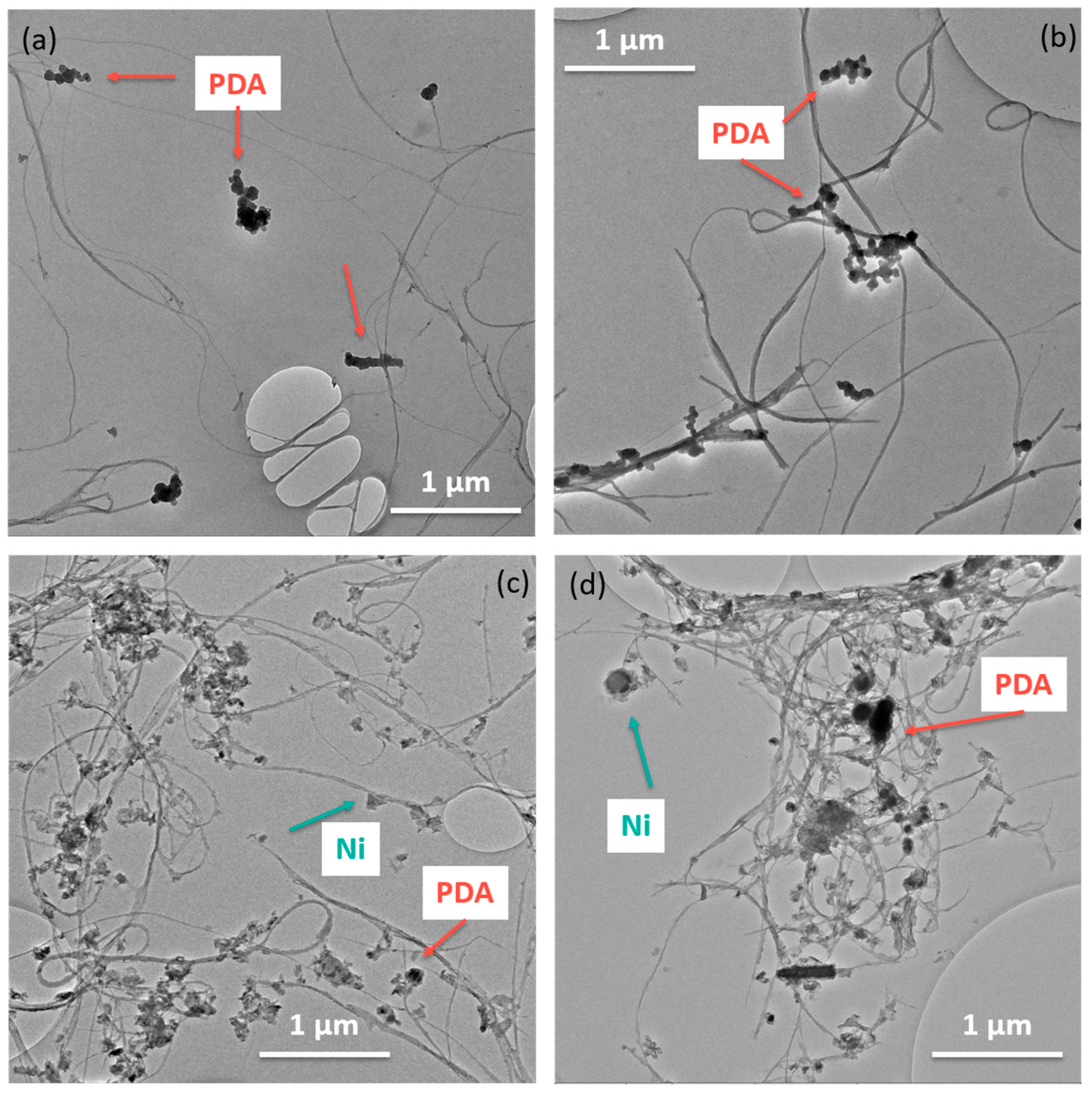 Nanomaterials 13 02813 g004