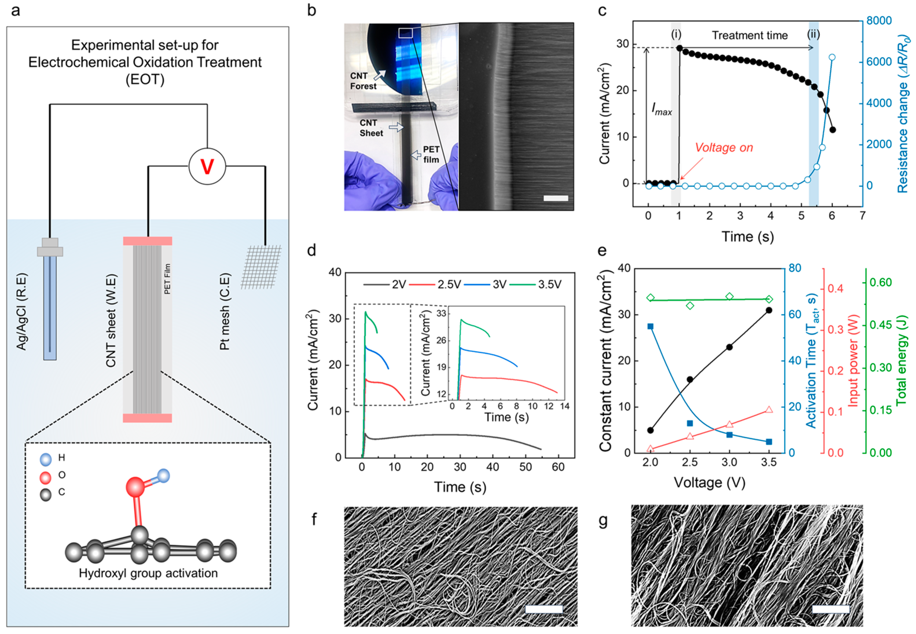 Nanomaterials 13 02814 g001
