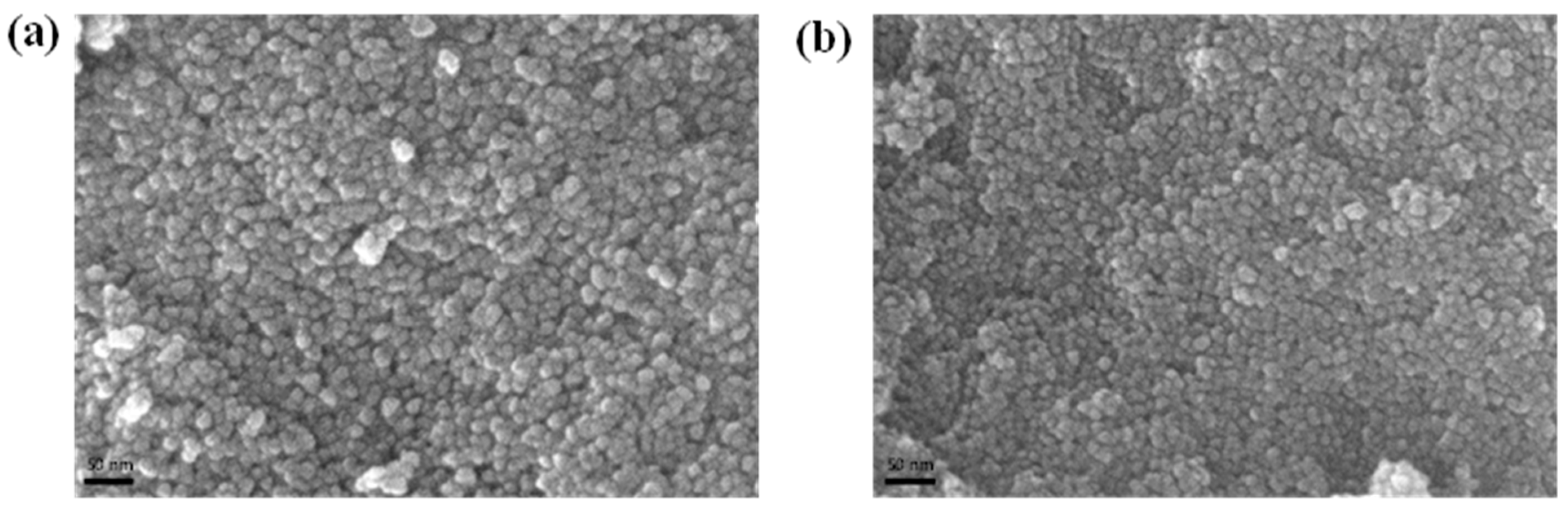 Nanomaterials 13 02816 g003