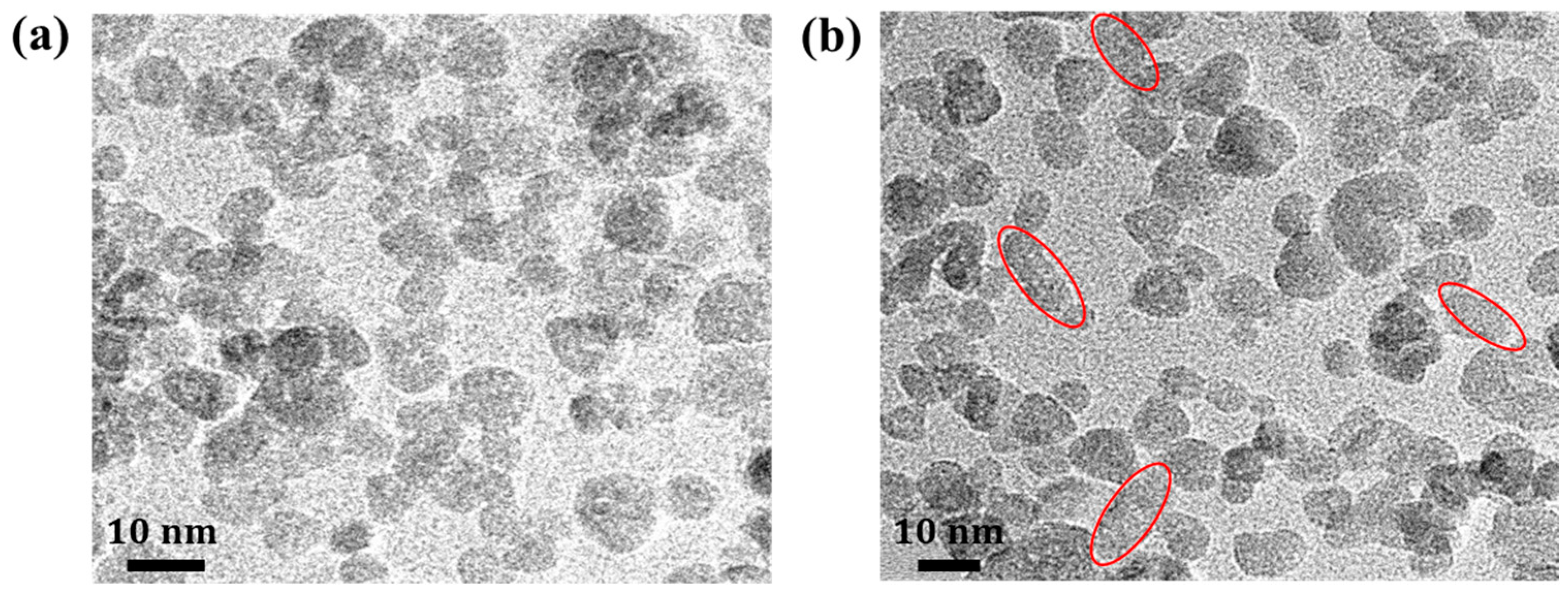 Nanomaterials 13 02816 g004