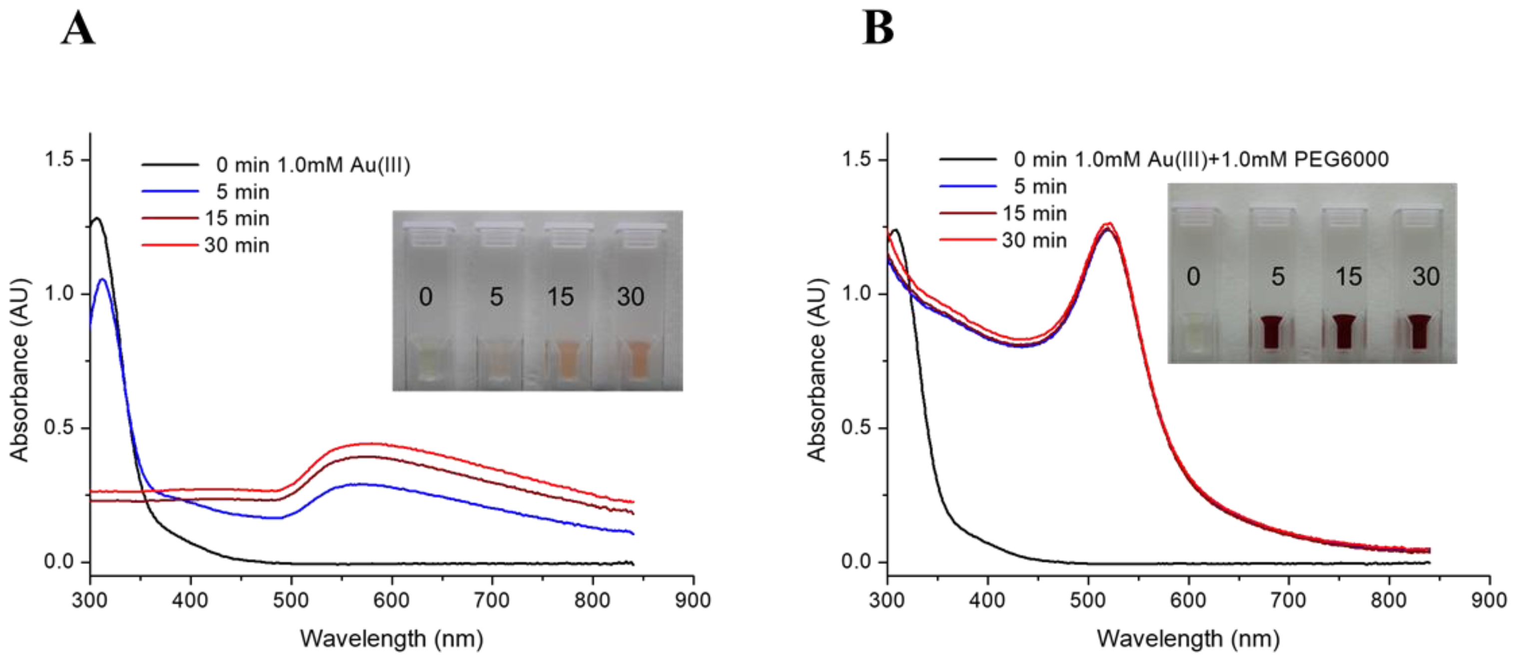 Nanomaterials 13 02821 g001 Nanomaterials 13 02821 g001