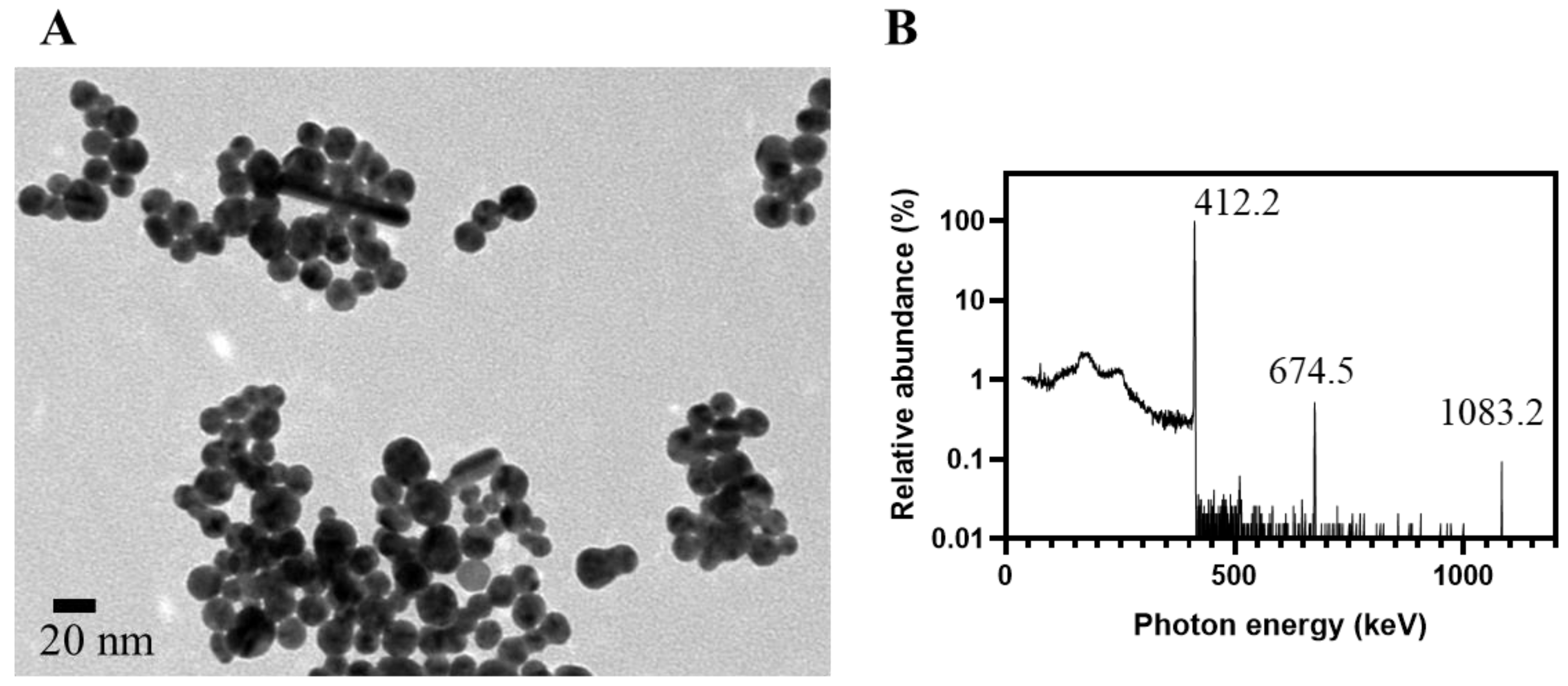 Nanomaterials 13 02821 g002 Nanomaterials 13 02821 g002