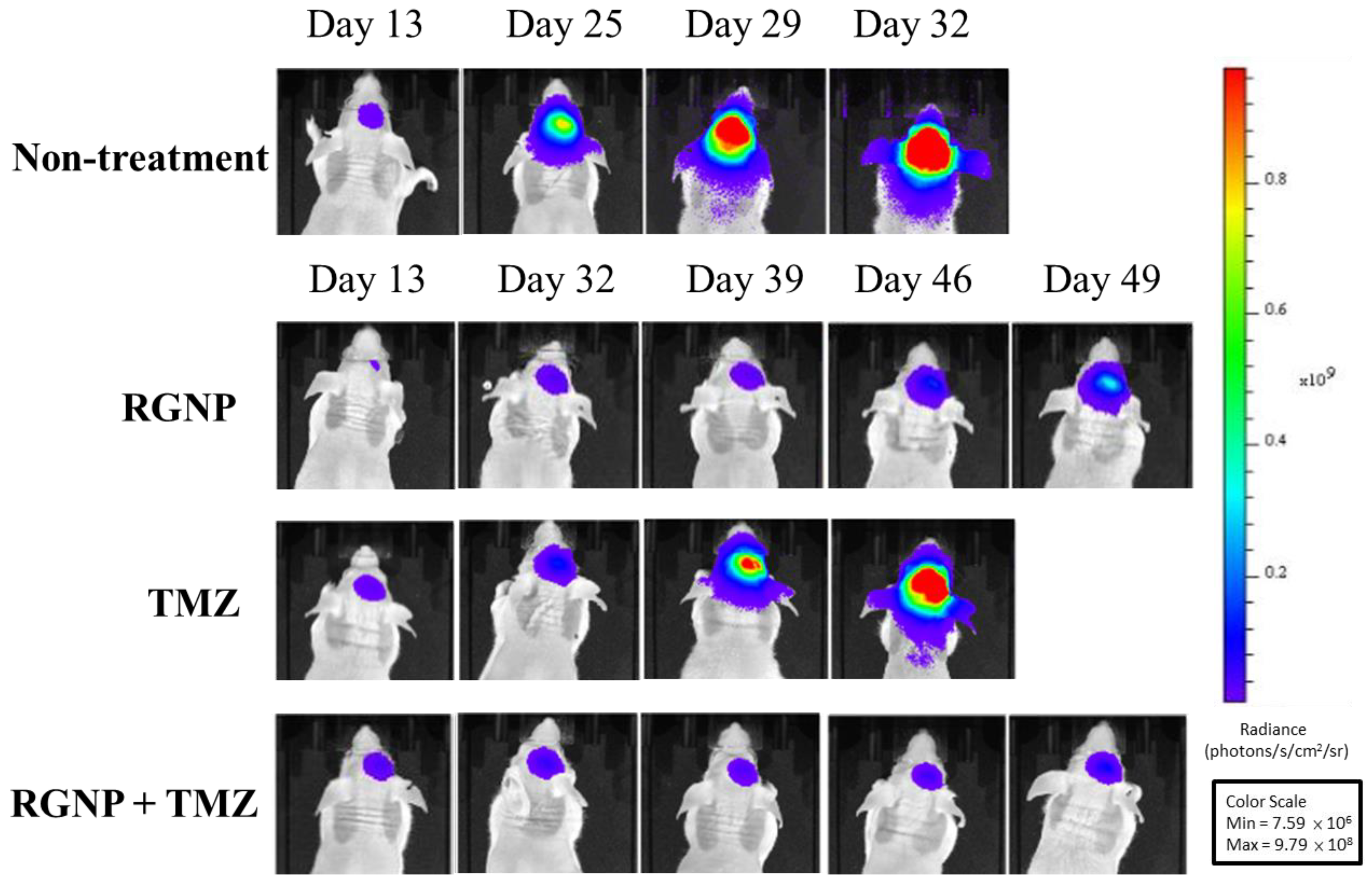 Nanomaterials 13 02821 g004 Nanomaterials 13 02821 g004
