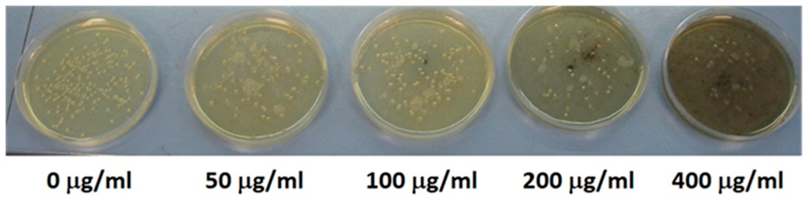 Nanomaterials 13 02823 g005