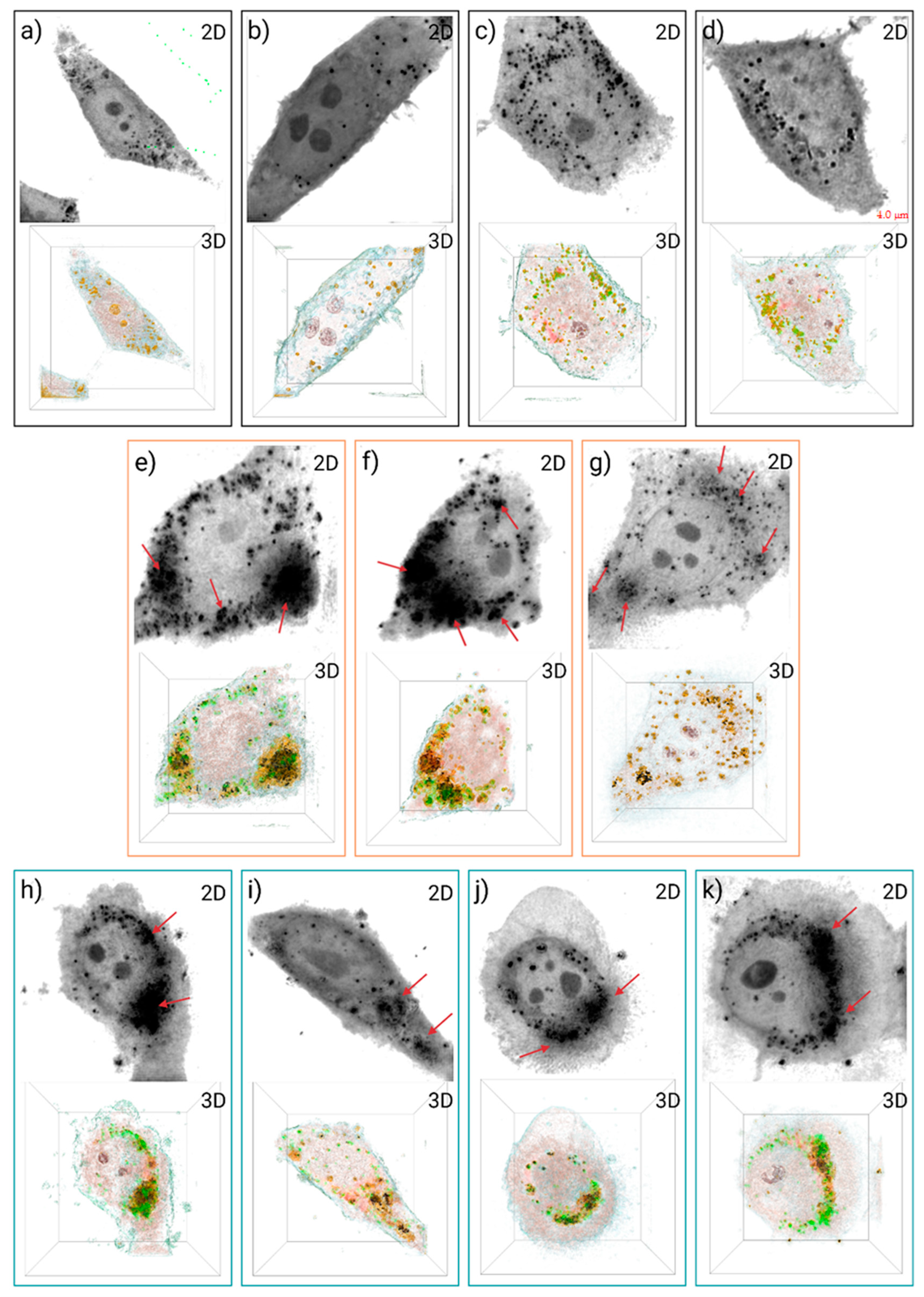 Nanomaterials 13 02824 g011