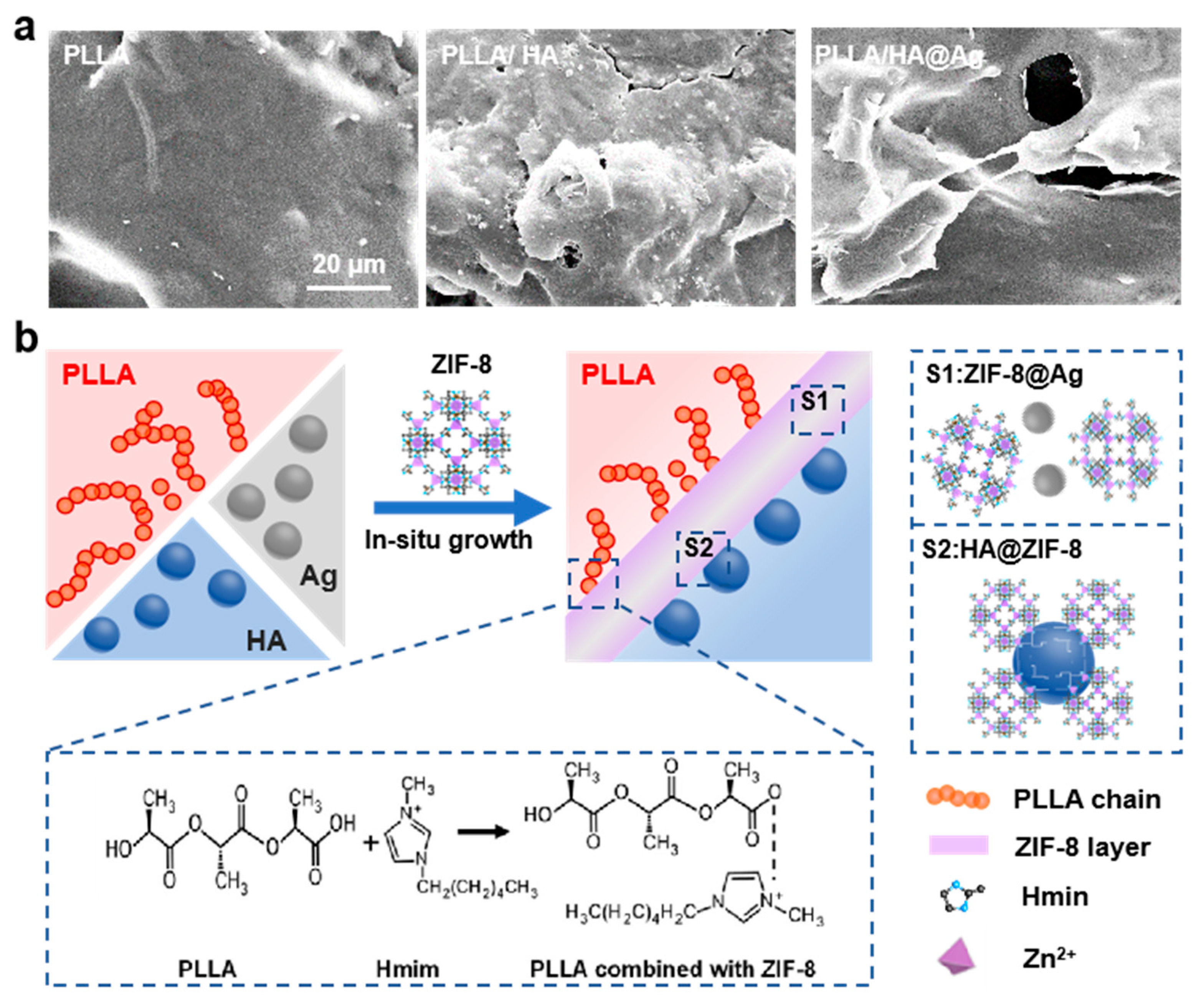 Nanomaterials 13 02828 g004
