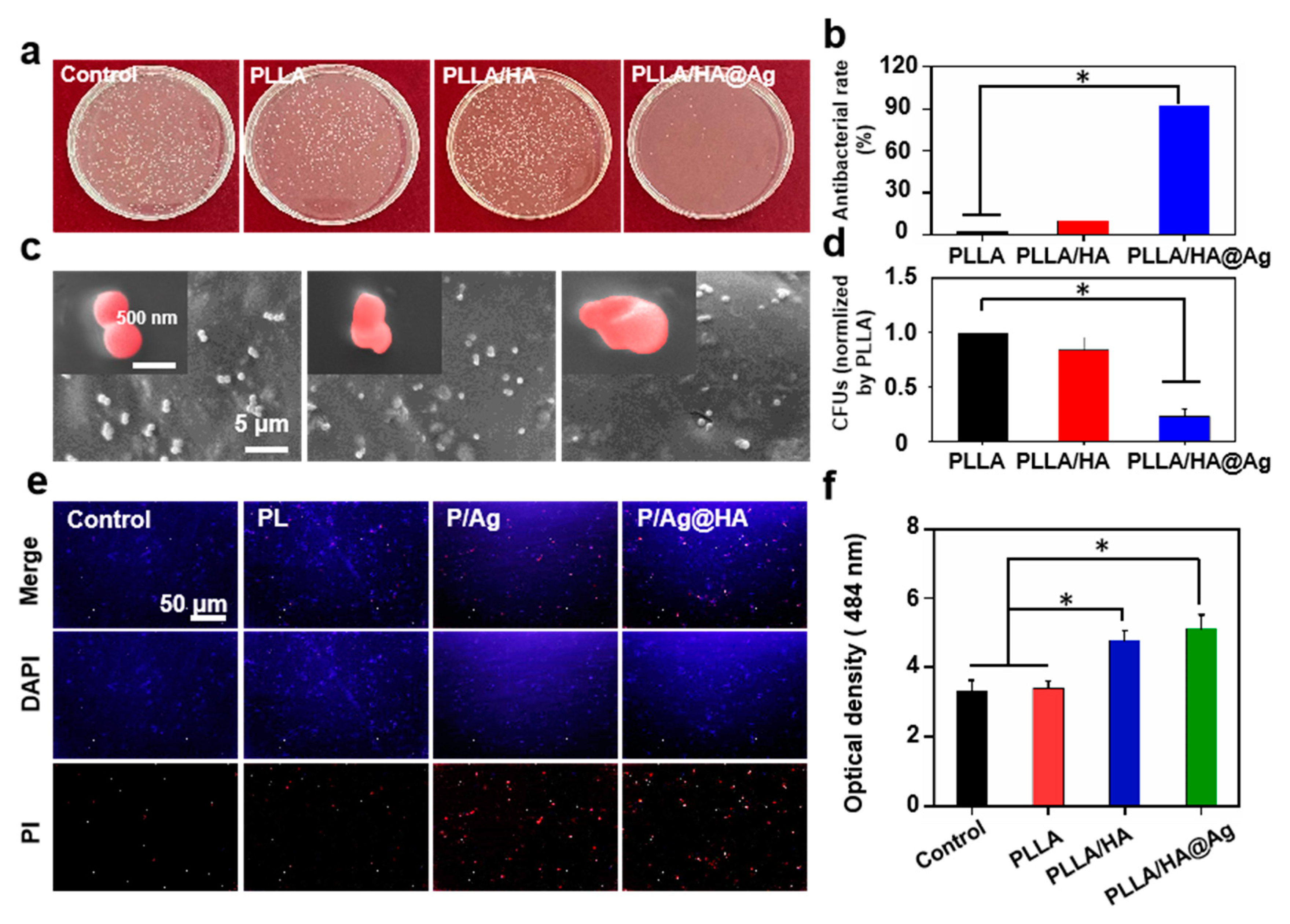 Nanomaterials 13 02828 g006