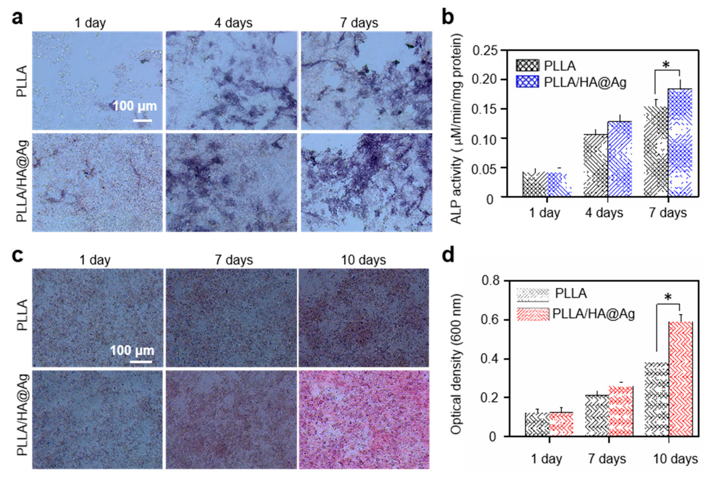 Nanomaterials 13 02828 g008