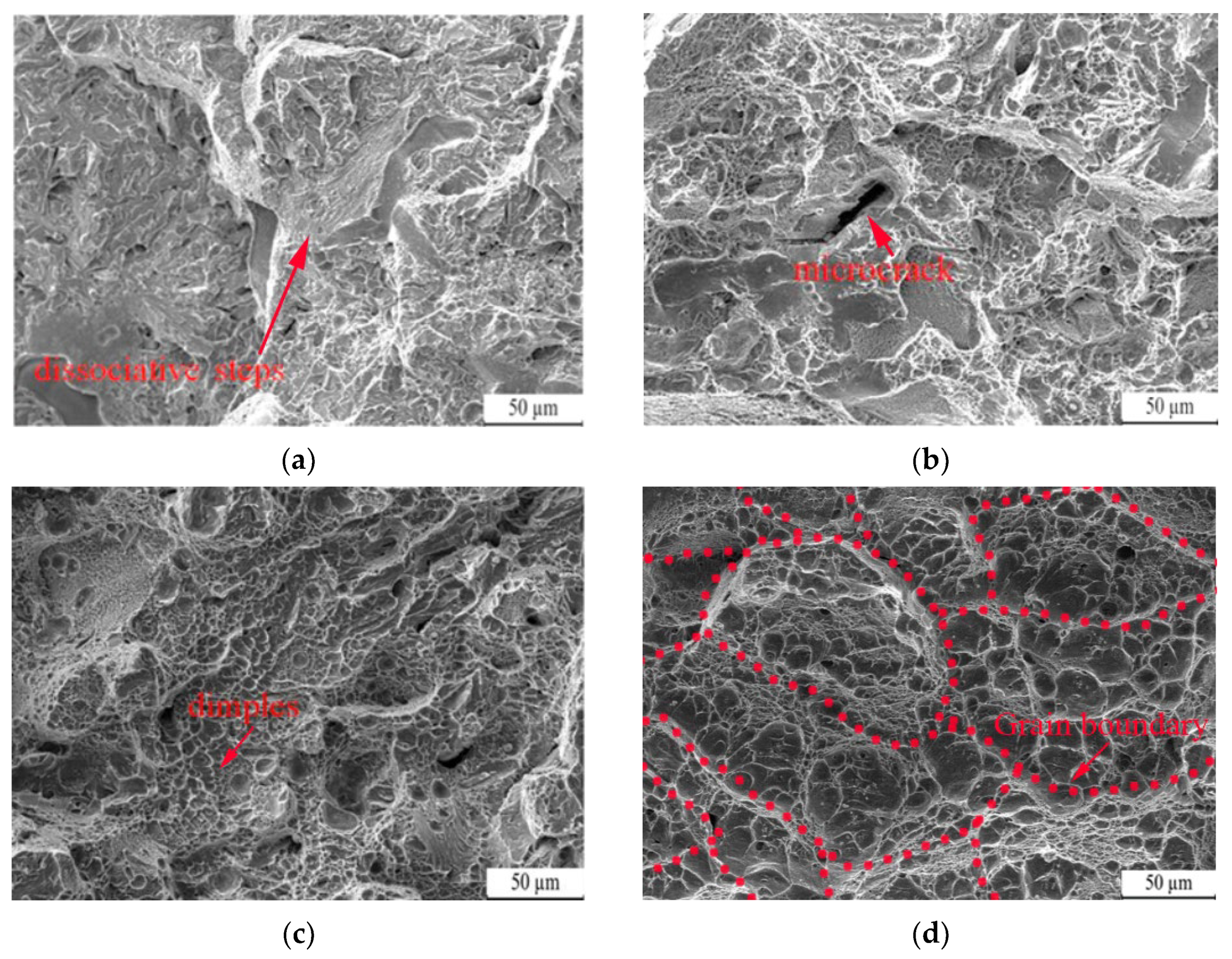 Nanomaterials 13 02829 g010