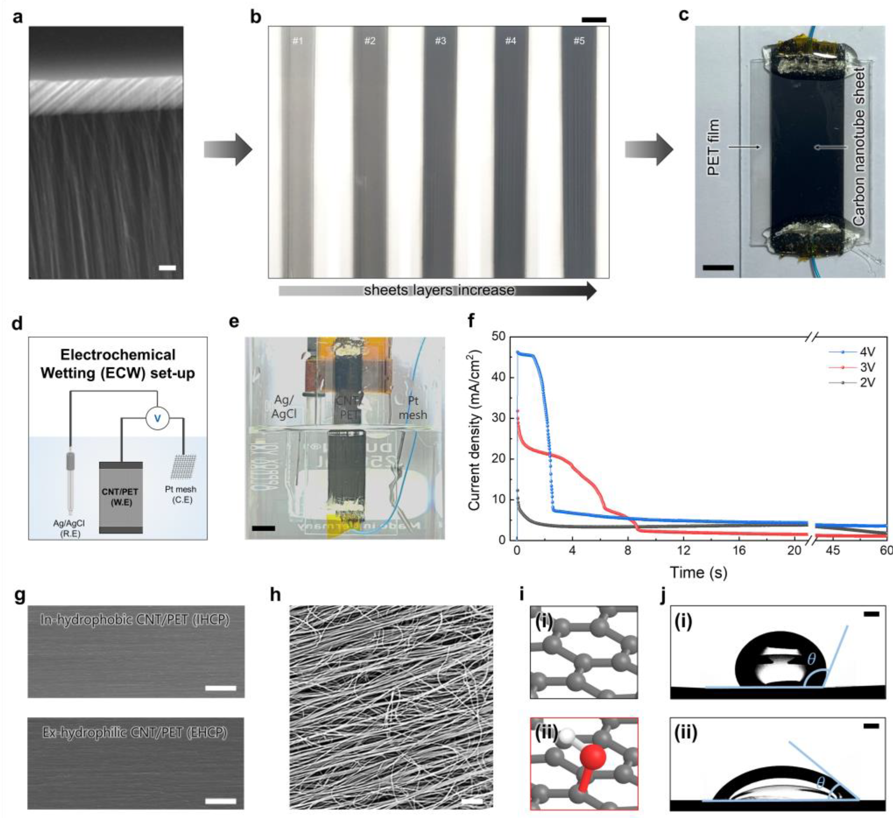 Nanomaterials 13 02834 g001