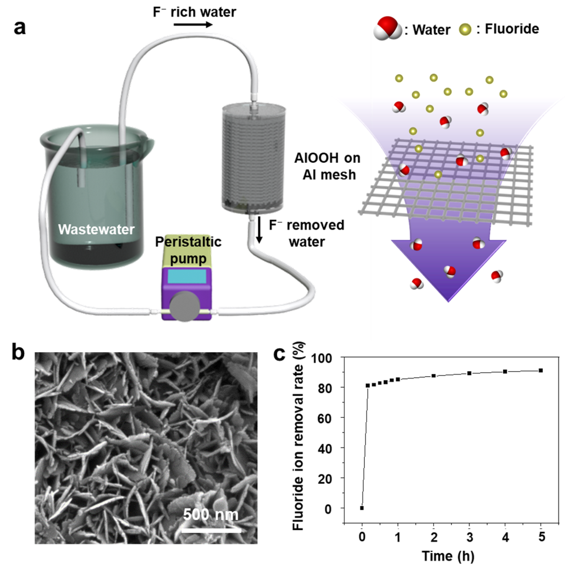 Nanomaterials 13 02838 g011 Nanomaterials 13 02838 g011